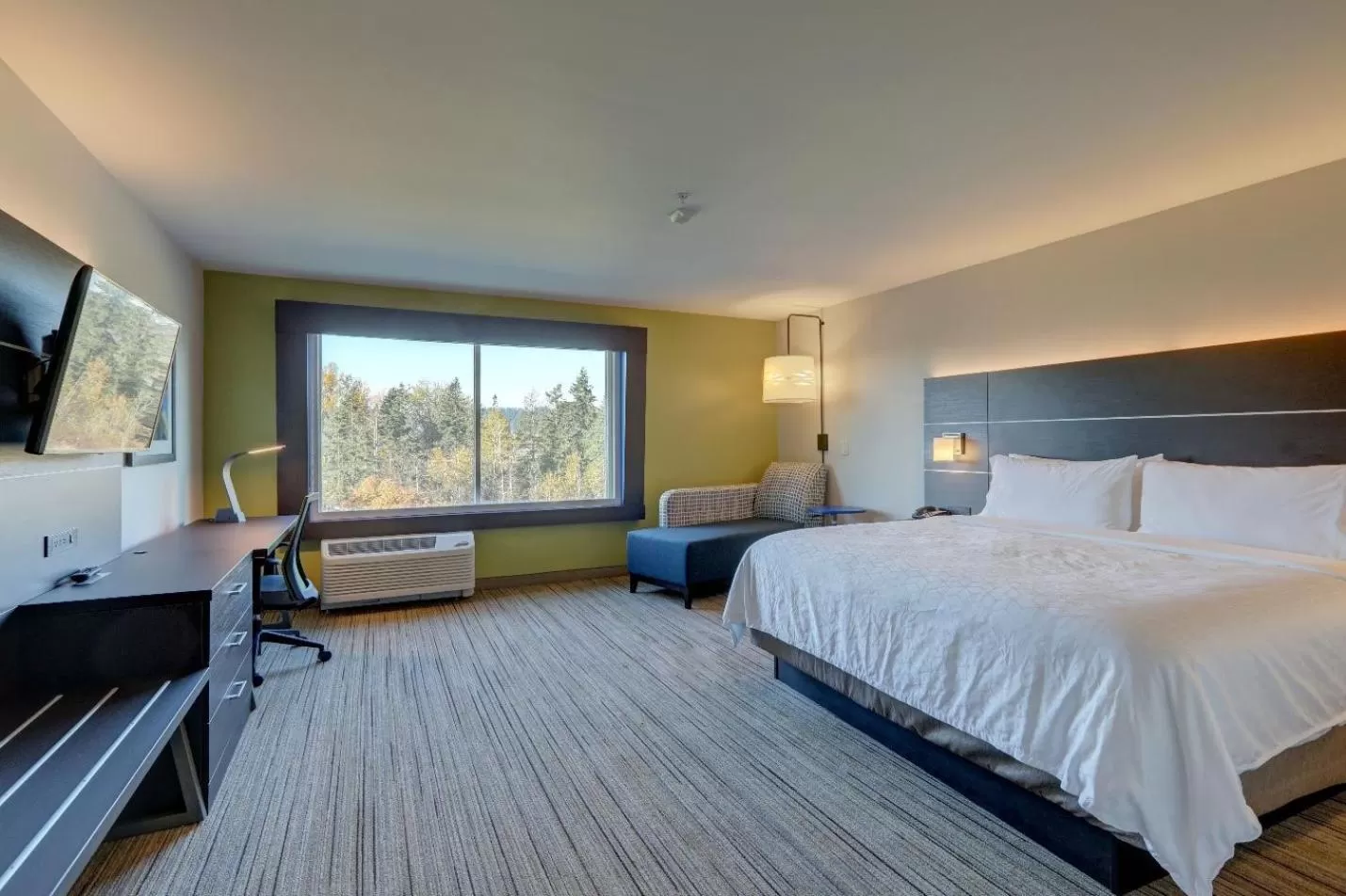 Standard King Room in Holiday Inn Express & Suites - Auburn Downtown by IHG