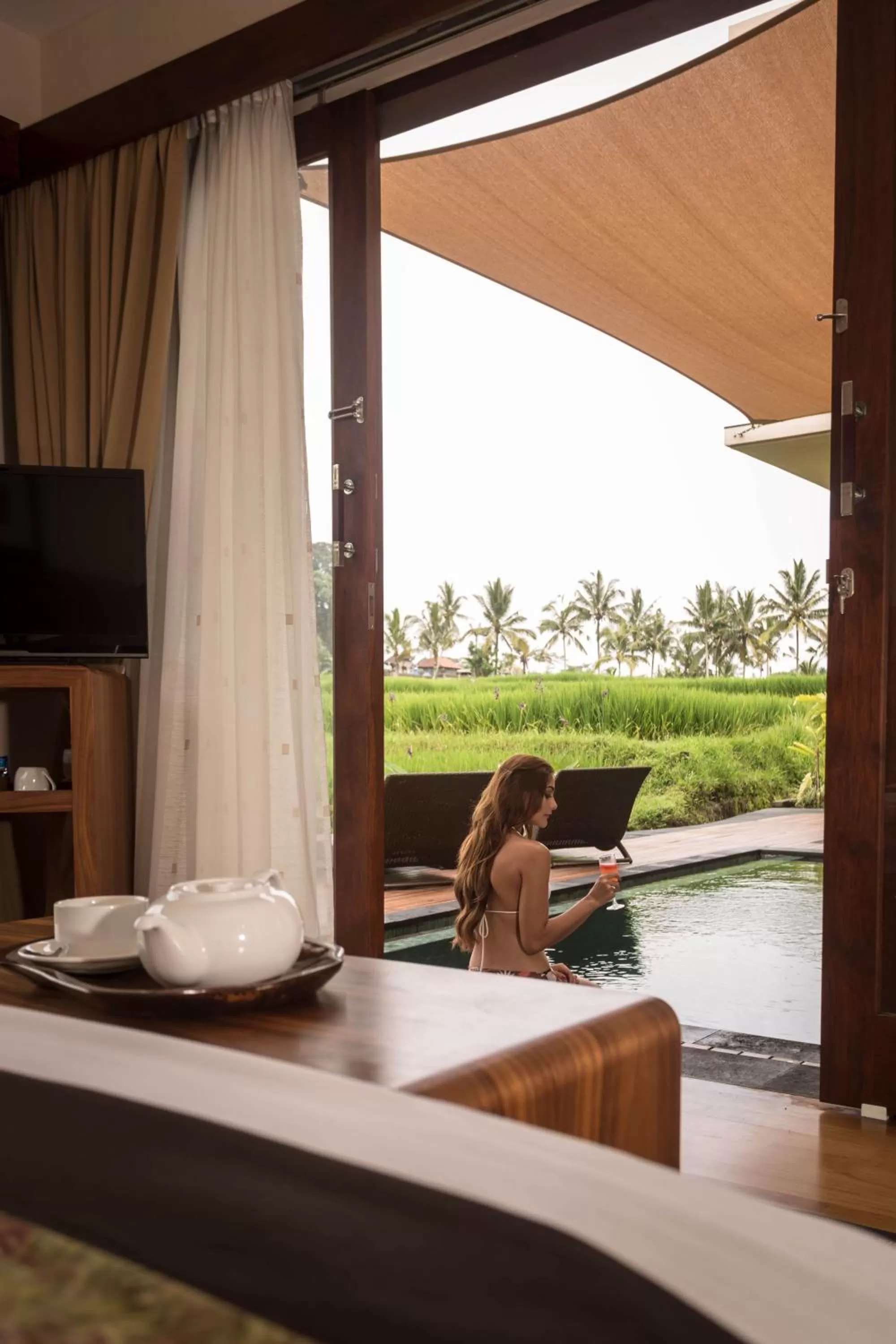 Two-Bedroom Villa with Private Pool in Manyi Village Ubud