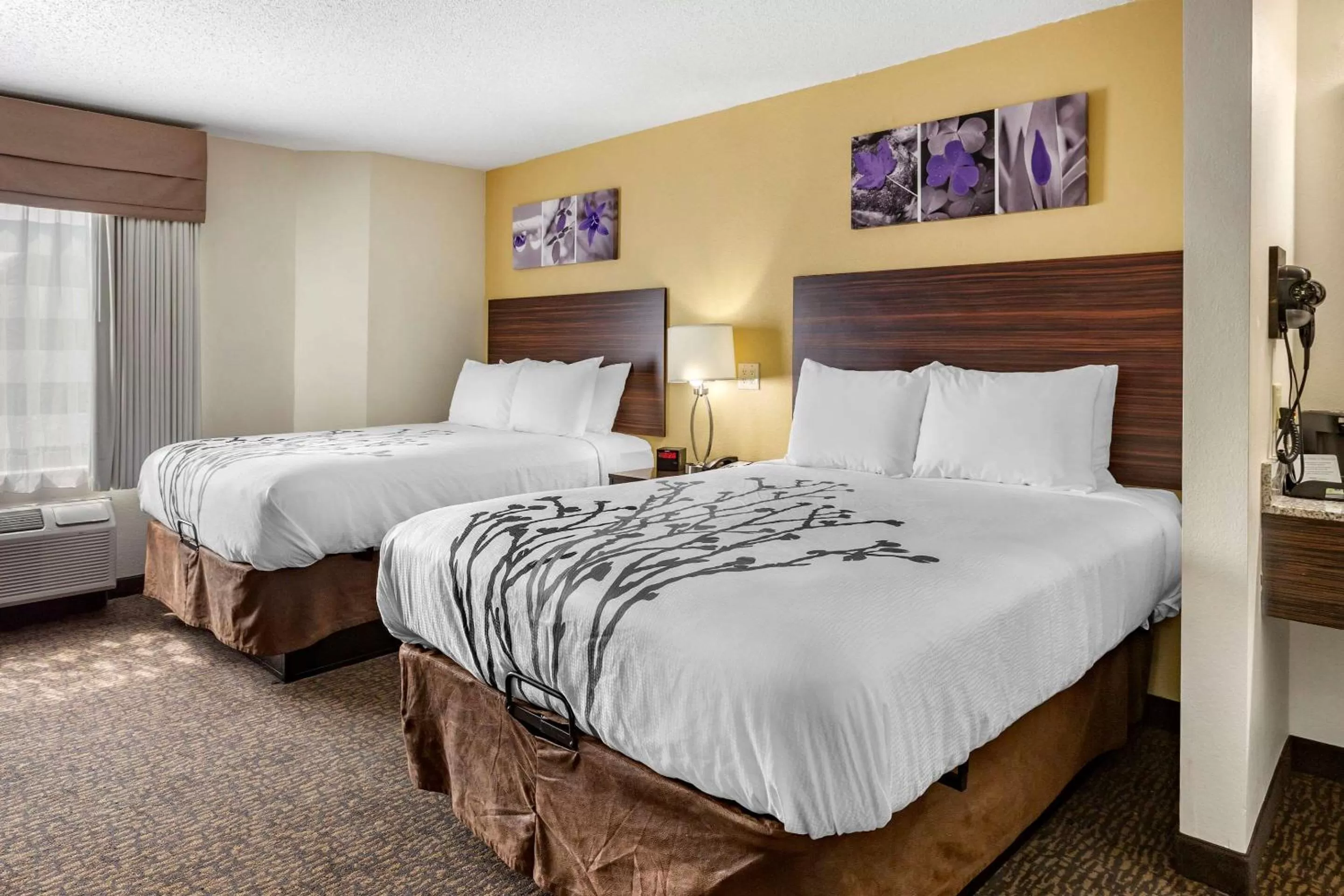 Queen Room with Two Queen Beds - Non-Smoking in Sleep Inn Henderson I-85