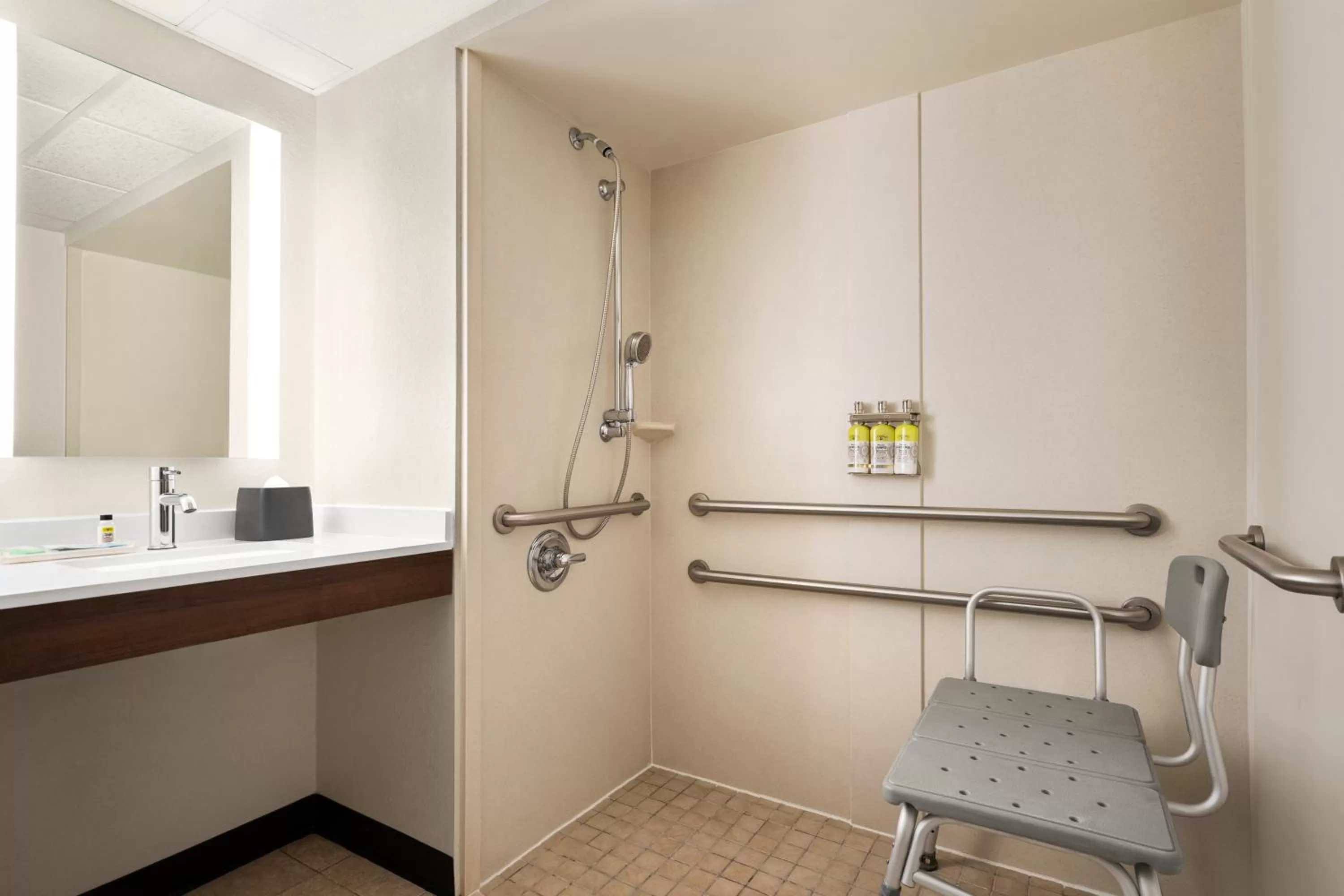Standard King Room with Roll-in Shower - Mobility Accessible in Holiday Inn Florence by IHG