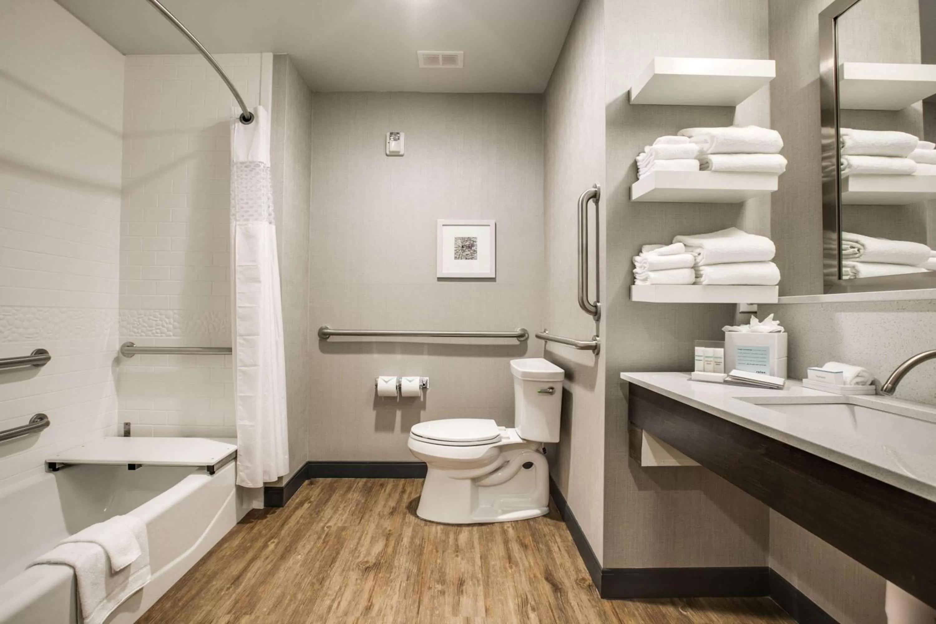 Queen Room with Two Queen Beds - Mobility and Hearing Access/Non-Smoking in Hampton Inn & Suites Dallas/Ft. Worth Airport South