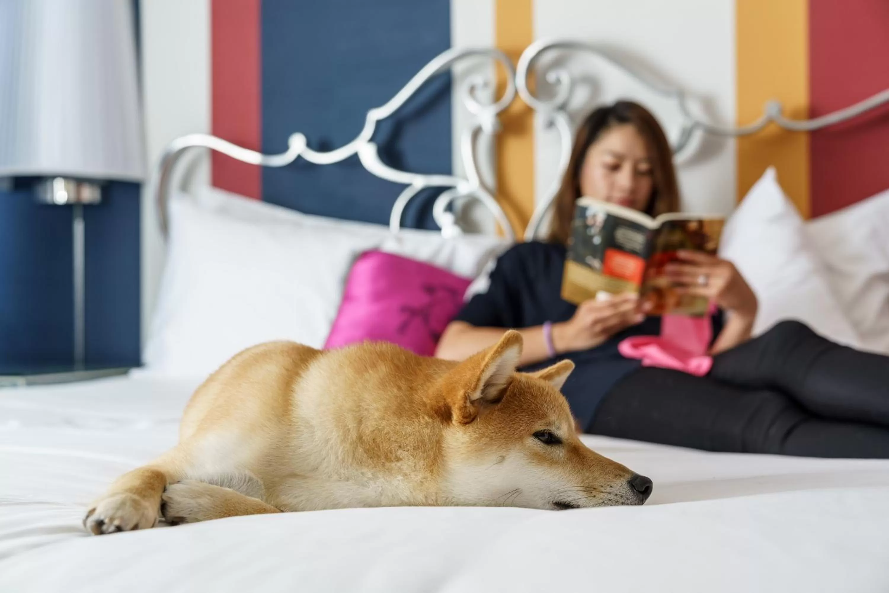 Urban Suite in The Marker Union Square San Francisco