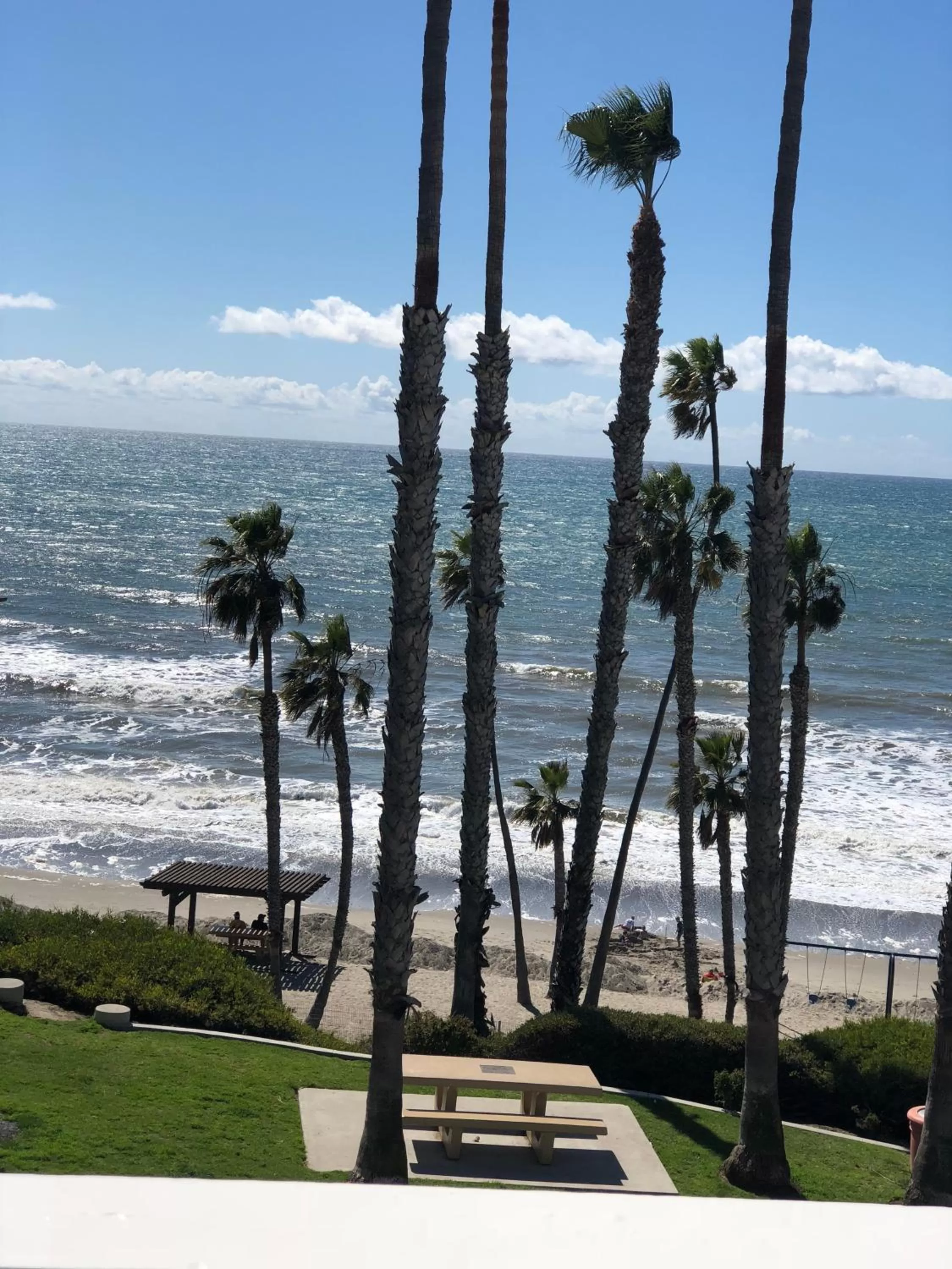 Deluxe One-Bedroom Suite - Ocean Front in Sea Horse Resort