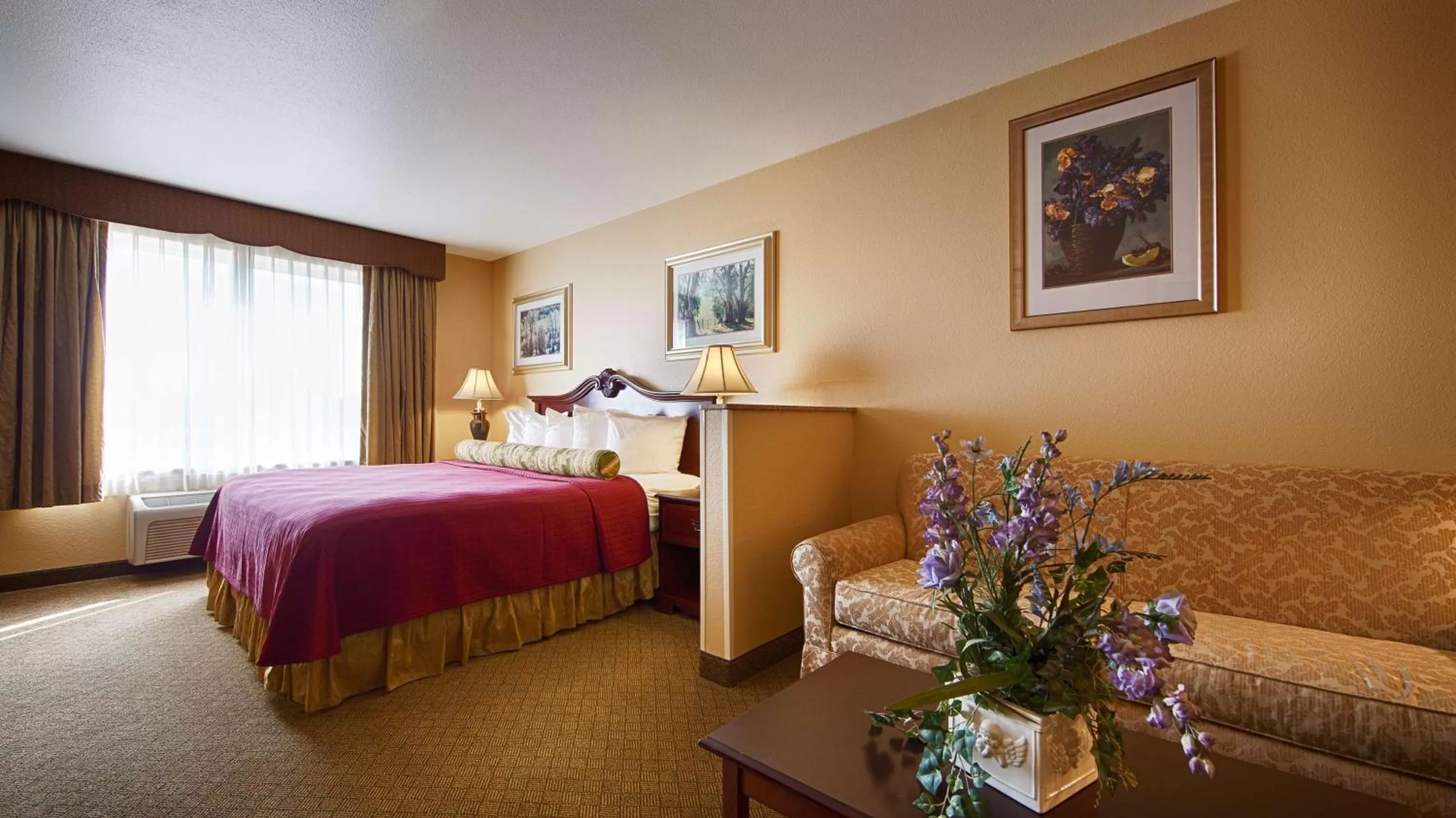 King Suite with Sofa Bed - Non-Smoking in Best Western Penn-Ohio Inn & Suites