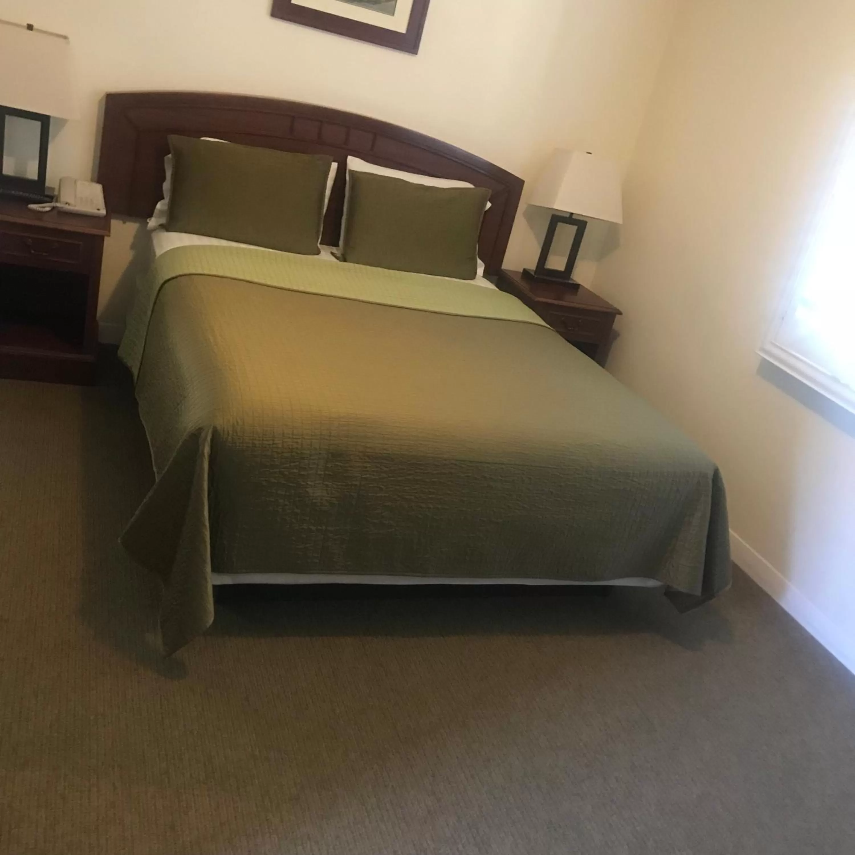 Queen Room with Garden View in Bella Capri Inn and Suites