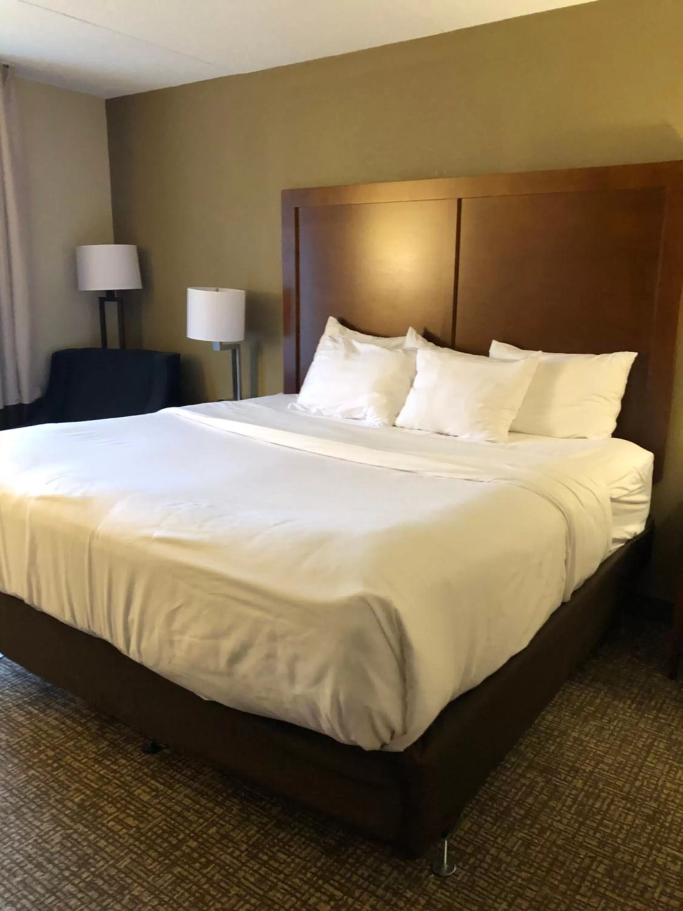 King Room with Roll-In Shower - Mobility Access/Non-Smoking in Wingate by Wyndham Grove City