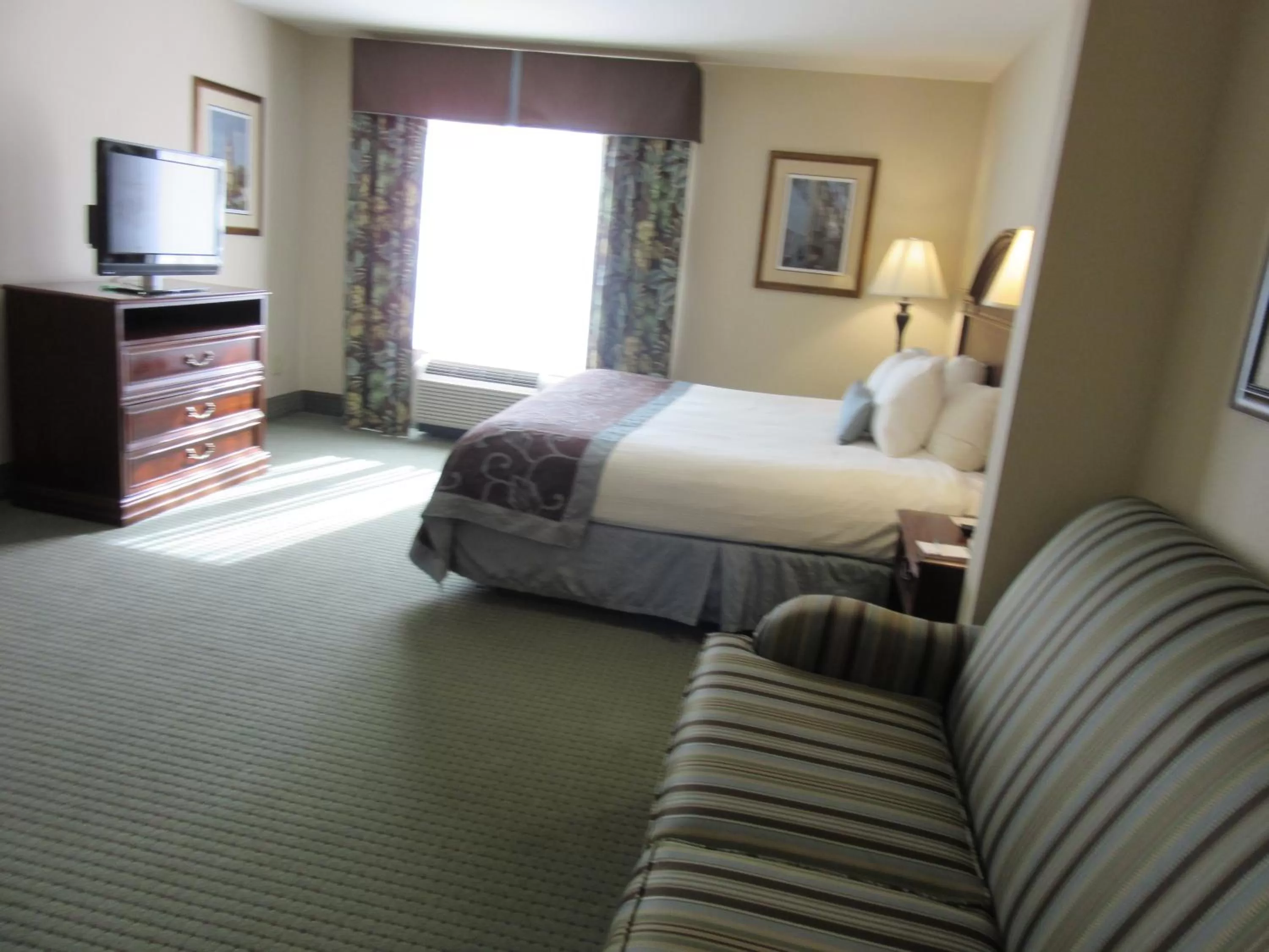 Deluxe King Room - Non-Smoking in Wingate by Wyndham Charleston Southern University