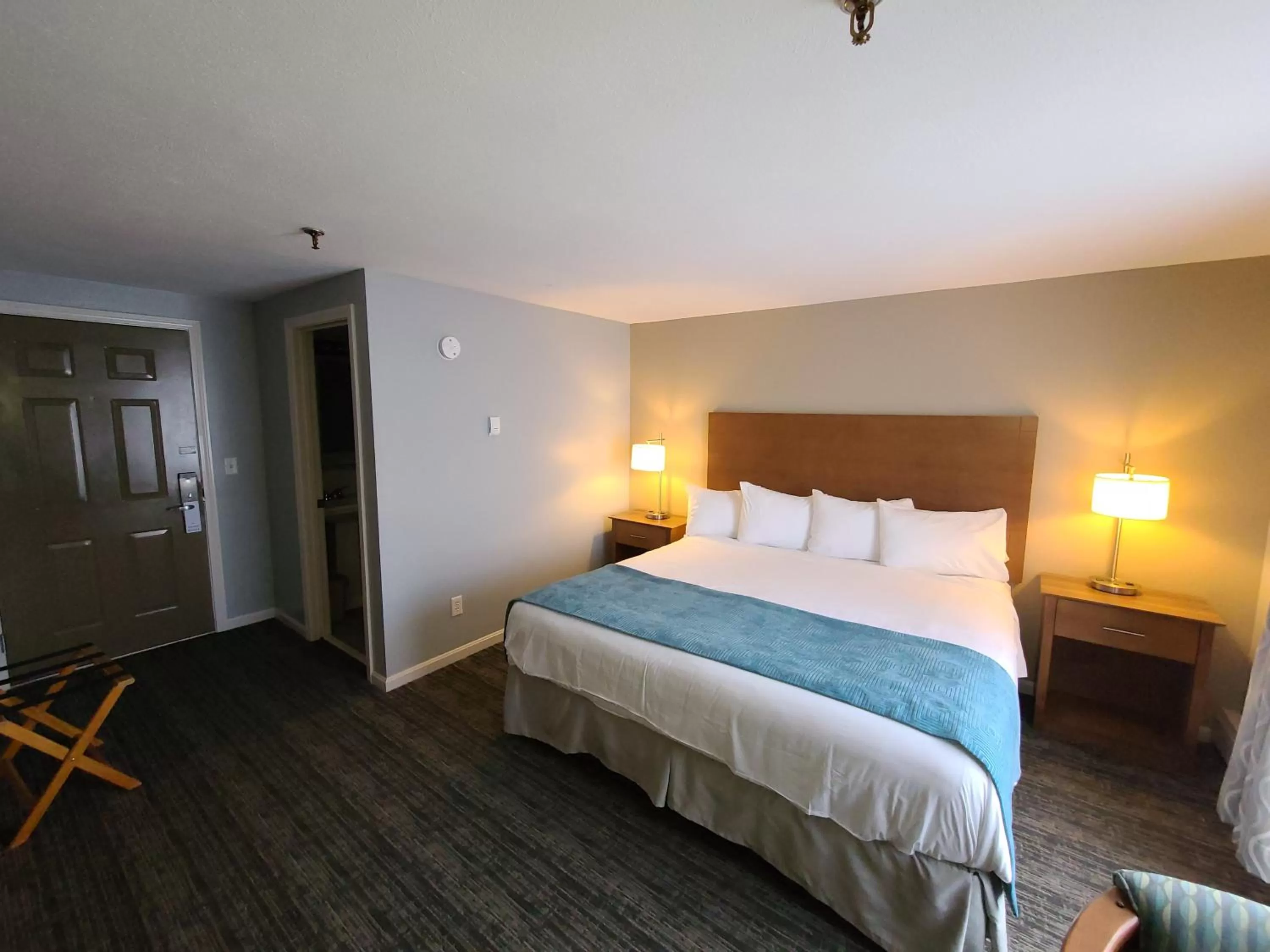 Deluxe King Room - Non Smoking in Hampton Village Inn