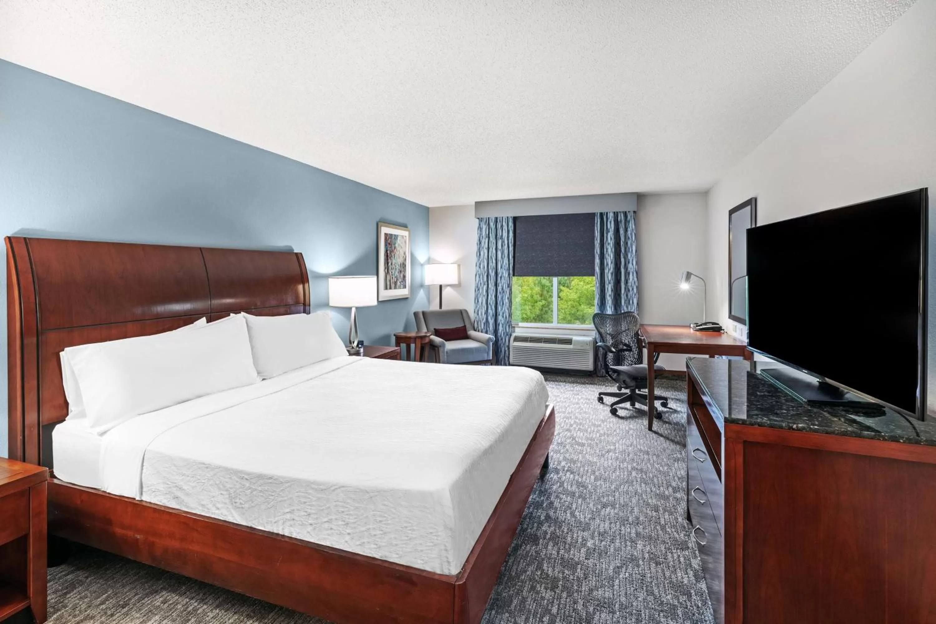 King Room in Hilton Garden Inn Aiken