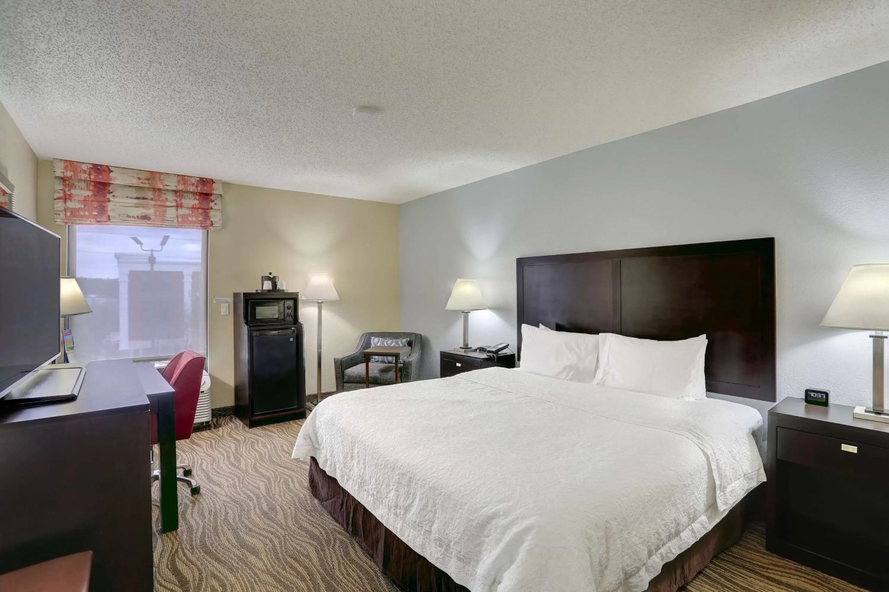 King Room with King Bed - Non-Smoking in Hampton Inn Nashville-I-24 Hickory Hollow