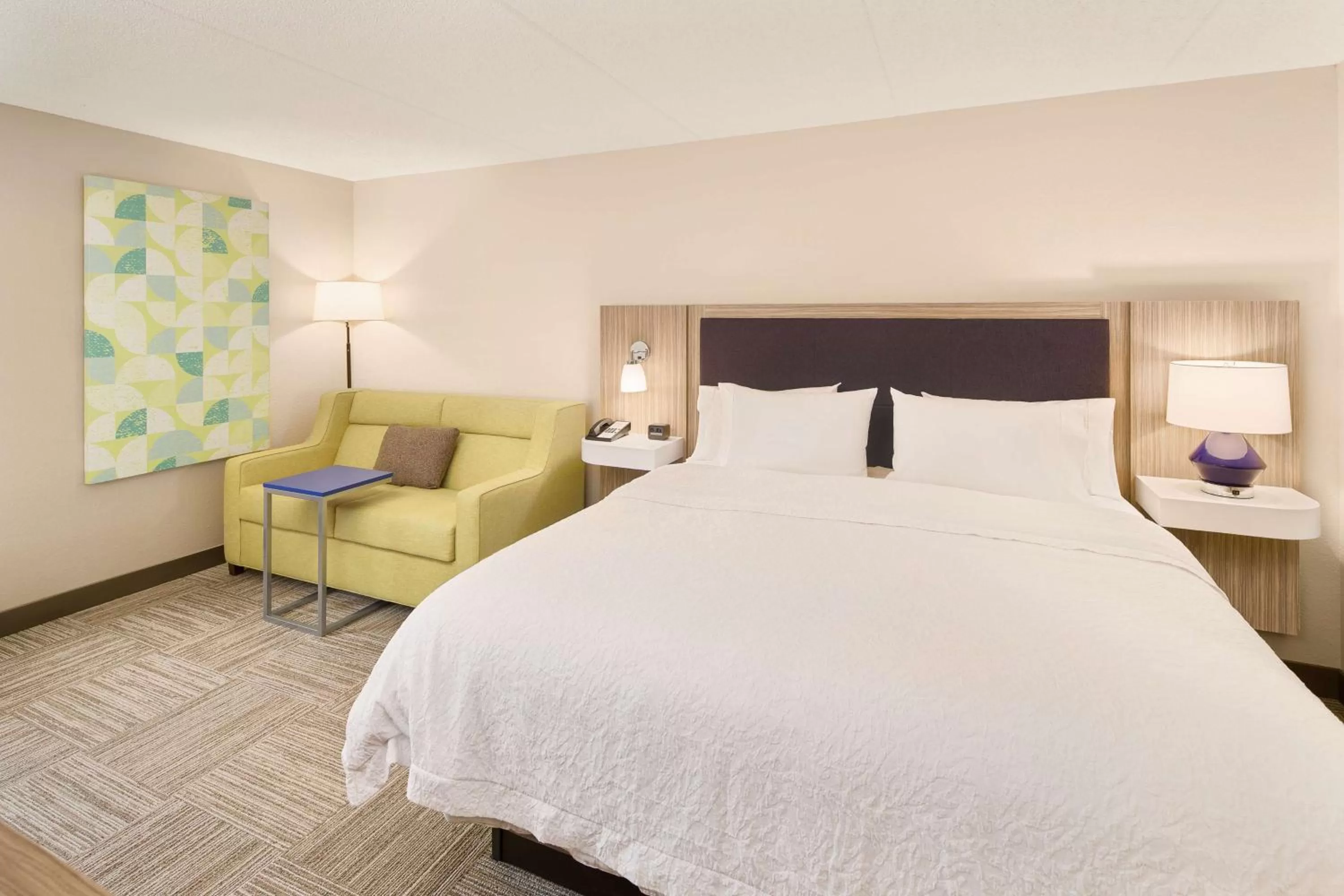 King Room with Sofa Bed - Non-Smoking in Hampton Inn Lagrange near Callaway Gardens