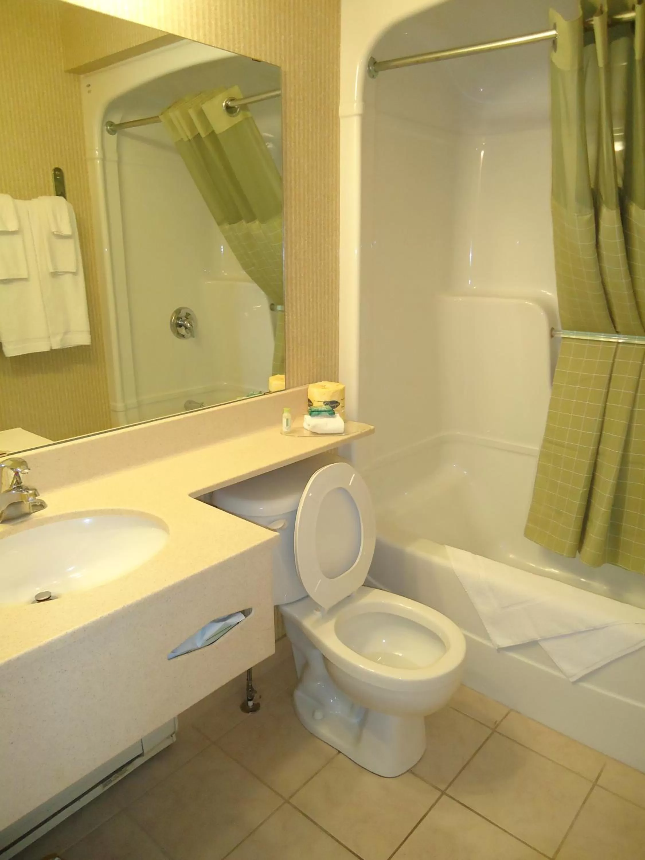 One-Bedroom King Suite - Non-Smoking in Super 8 by Wyndham Kingston