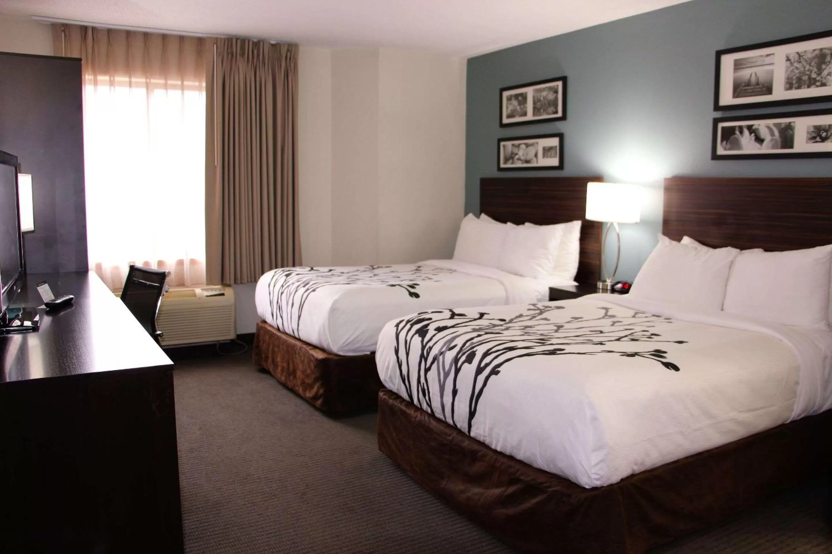 Standard Double Room with Two Double Beds - Non-Smoking in Sleep Inn Chattanooga Hamilton Place