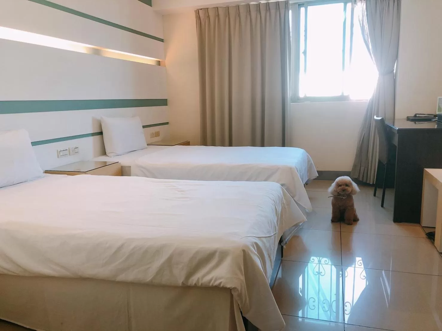 Standard Twin Room in Kiwi Express Hotel - Kaohsiung Station