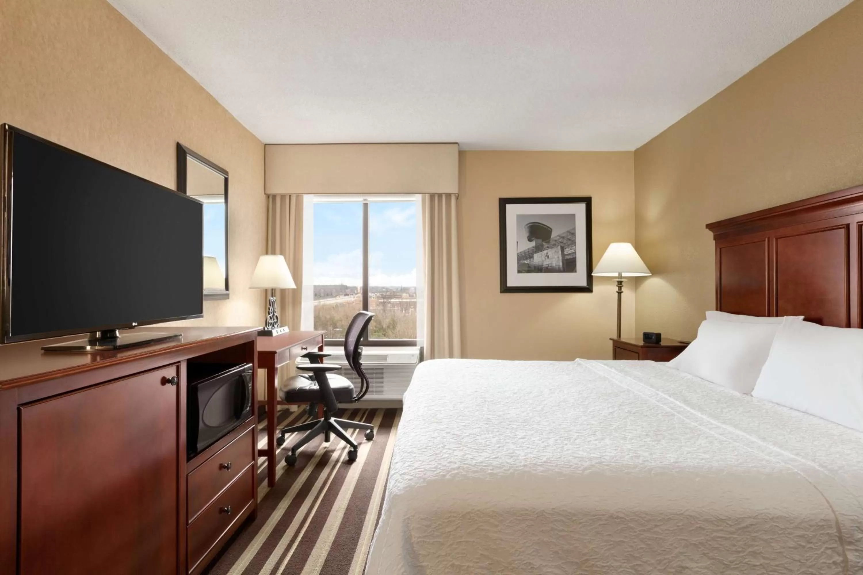 King Room - Mobility Accessible  in Hampton Inn Washington-Dulles International Airport South