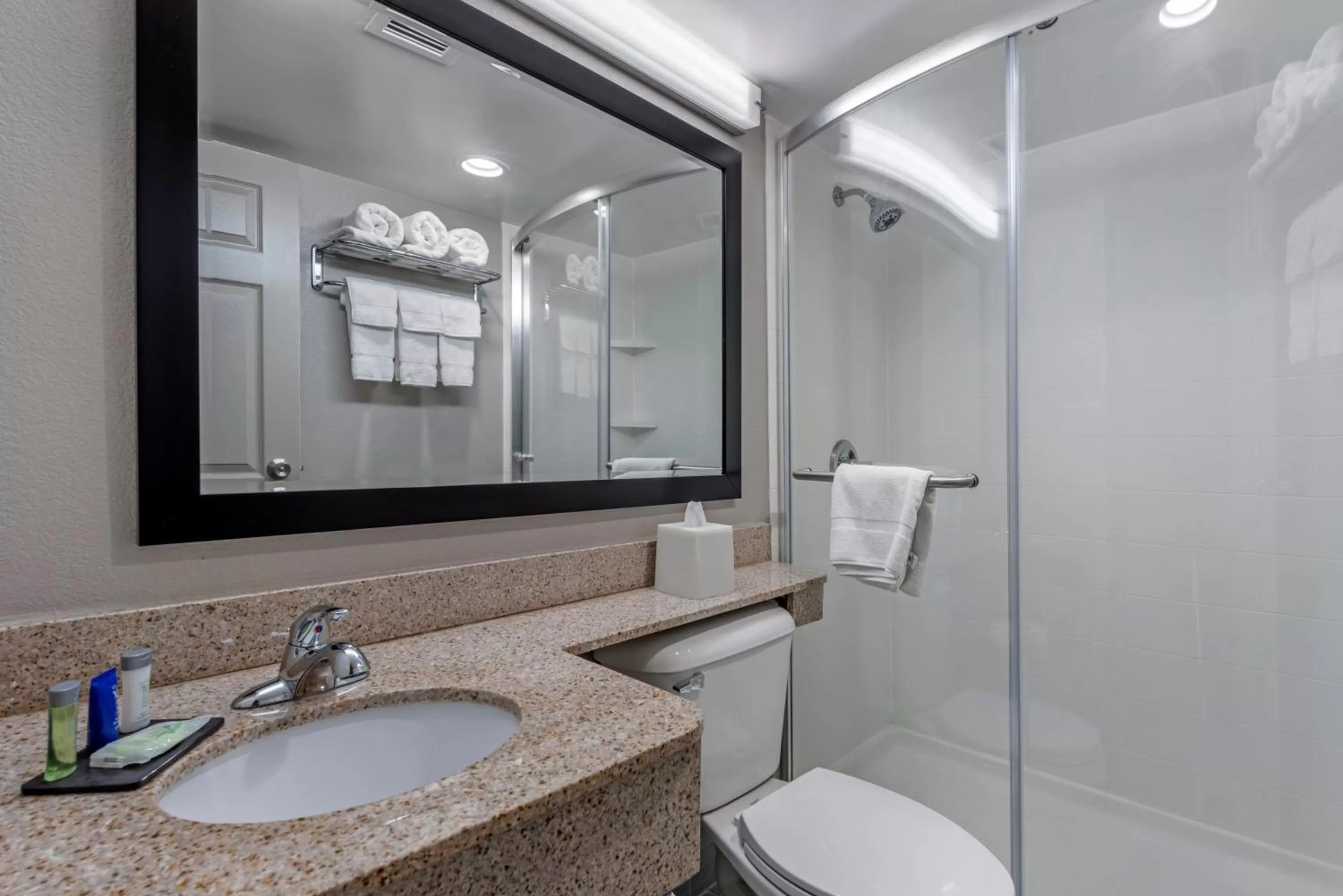 King Room - Disability Access/Non-Smoking in Sleep Inn Terre Haute University Area