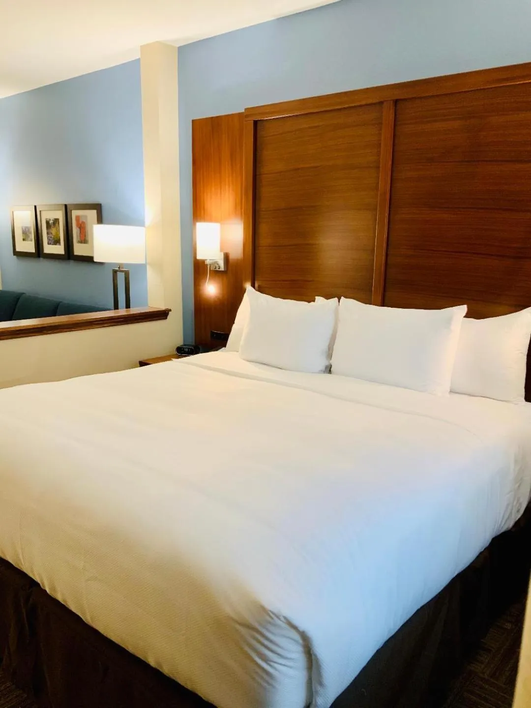 King Suite - Non-Smoking in Comfort Suites Cedar Park - Austin Northwest