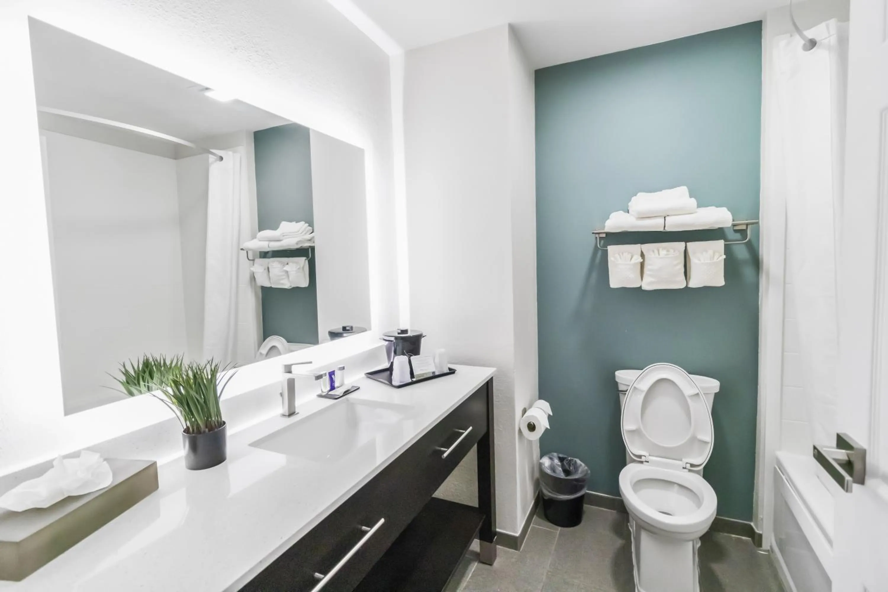 King Room - Accessible/Smoking in Suburban Studios Brunswick I-95