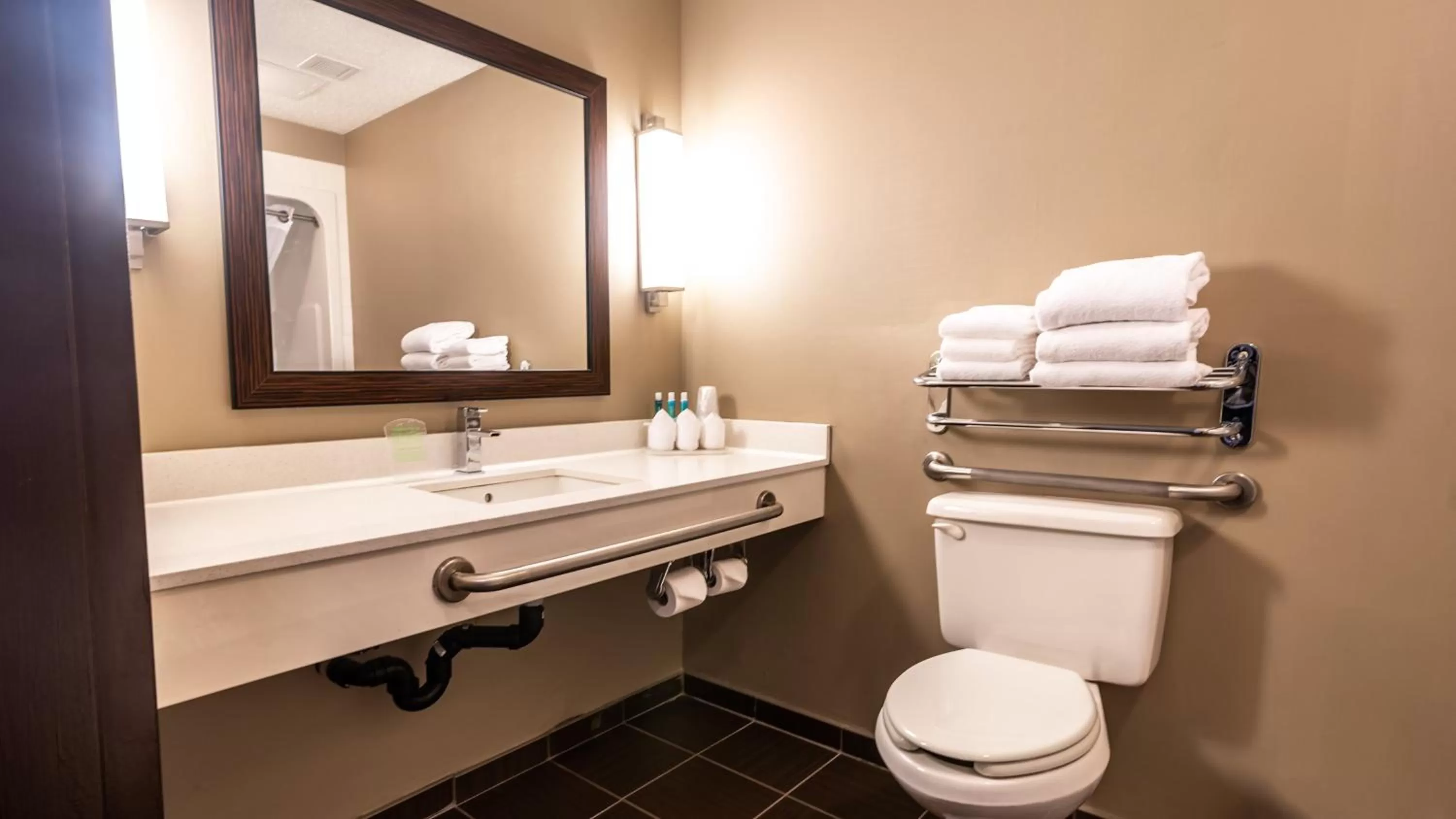 Standard Queen Room with Communications Accessible Roll-In Shower in Holiday Inn Express Hotel & Suites - Edmonton International Airport by IHG
