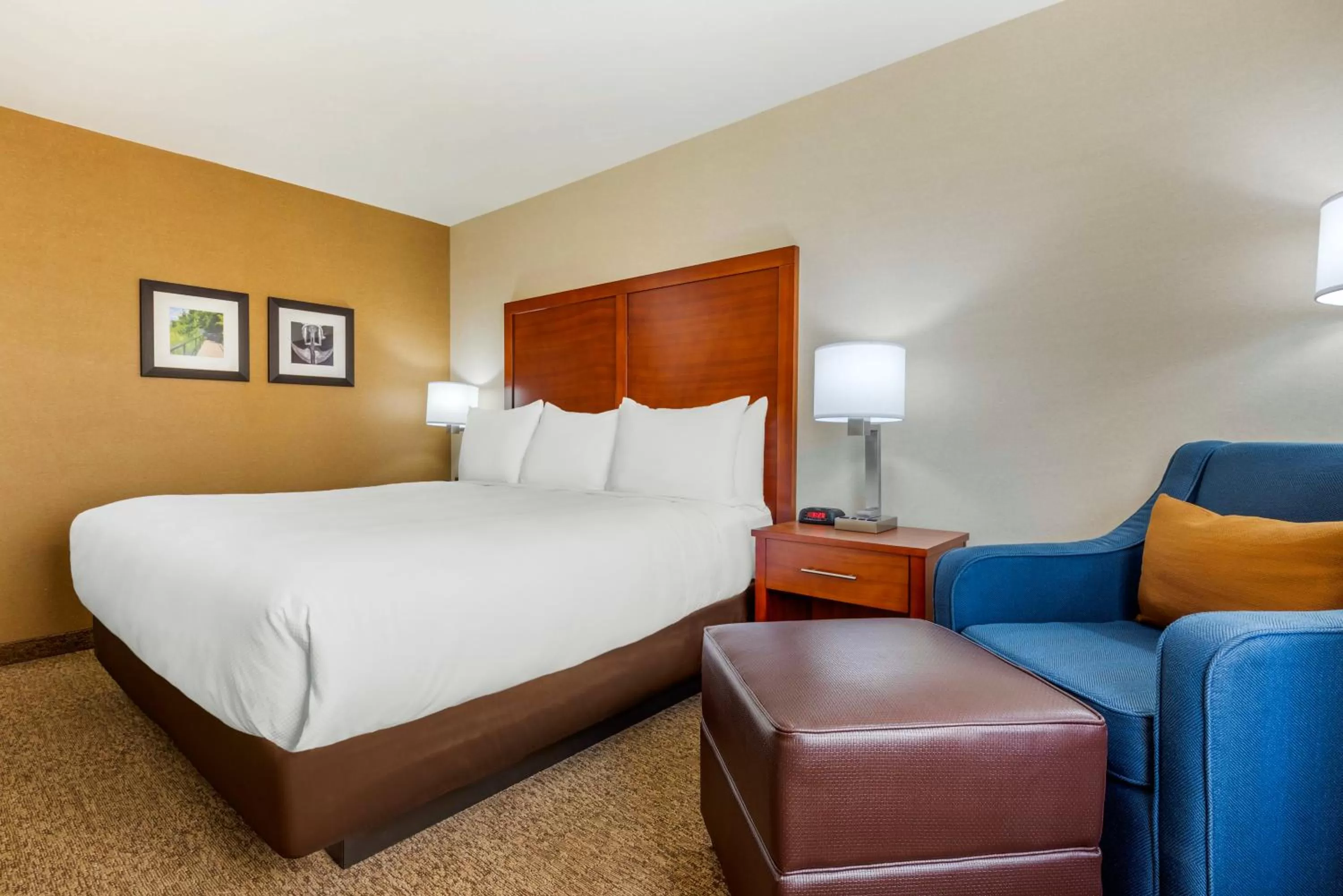 King Room - Non-Smoking in Comfort Inn & Suites