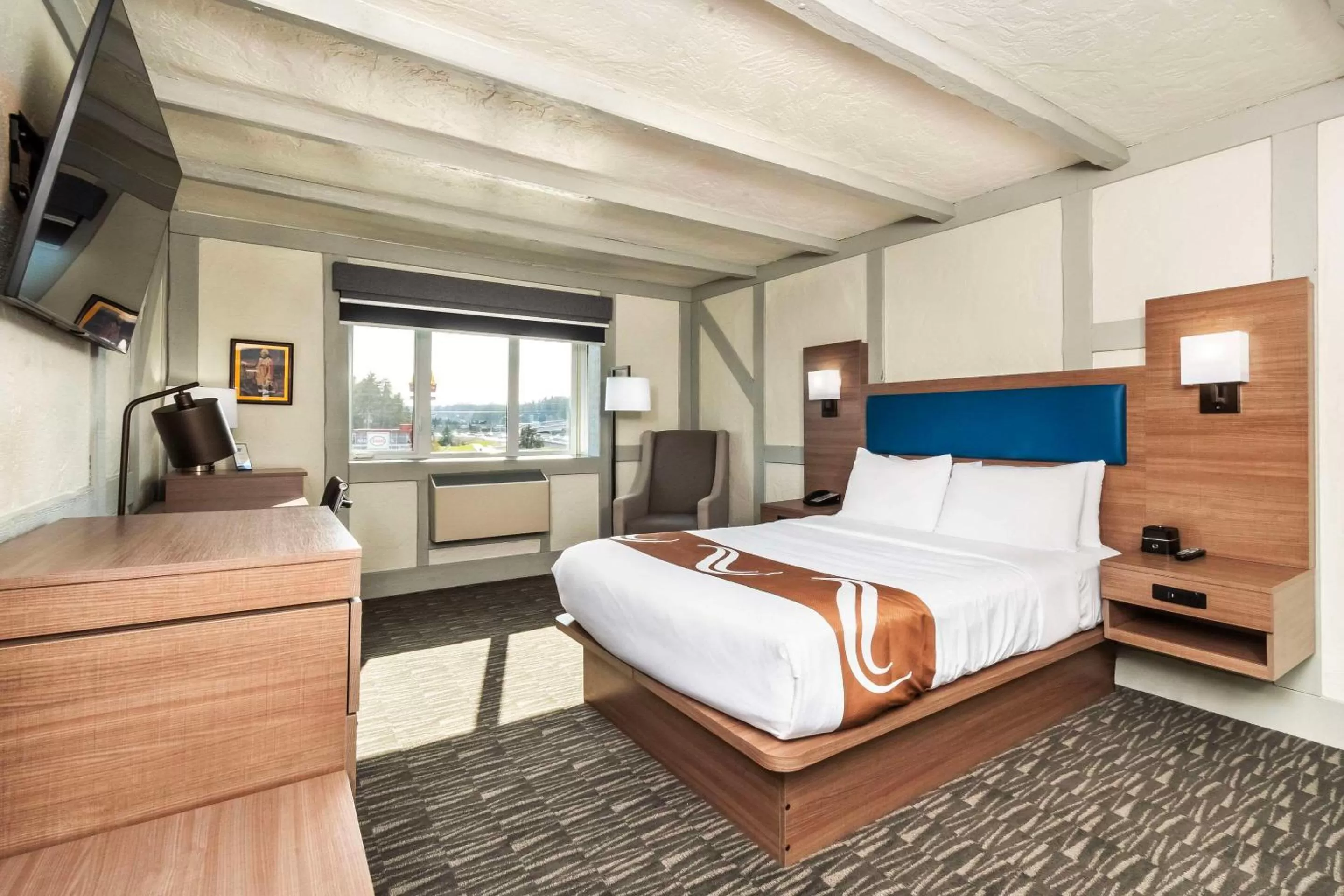 Queen Room - Non-Smoking in Quality Inn Waddling Dog