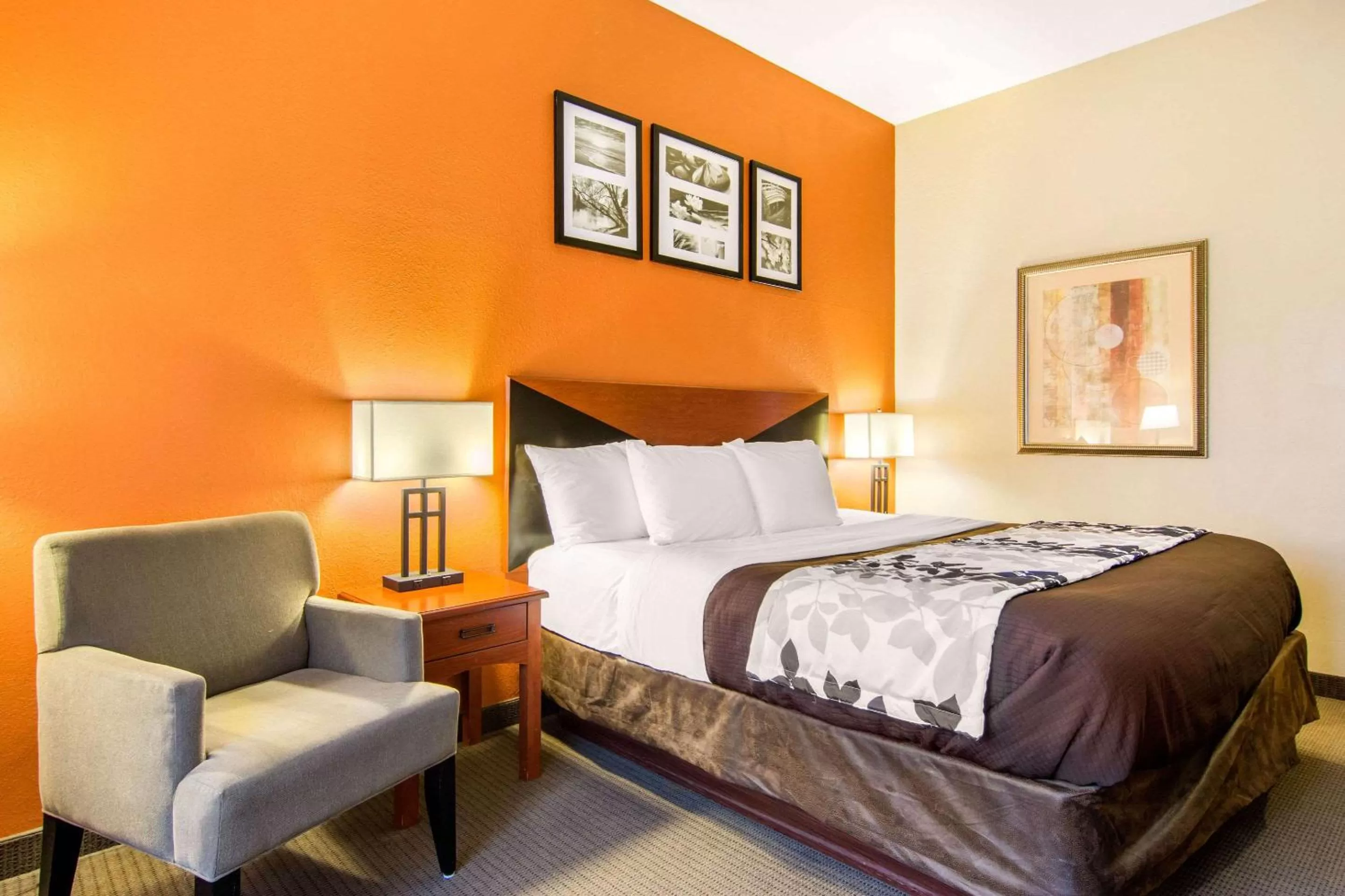 King Room - Disability Access/Non-Smoking in Sleep Inn & Suites Athens South