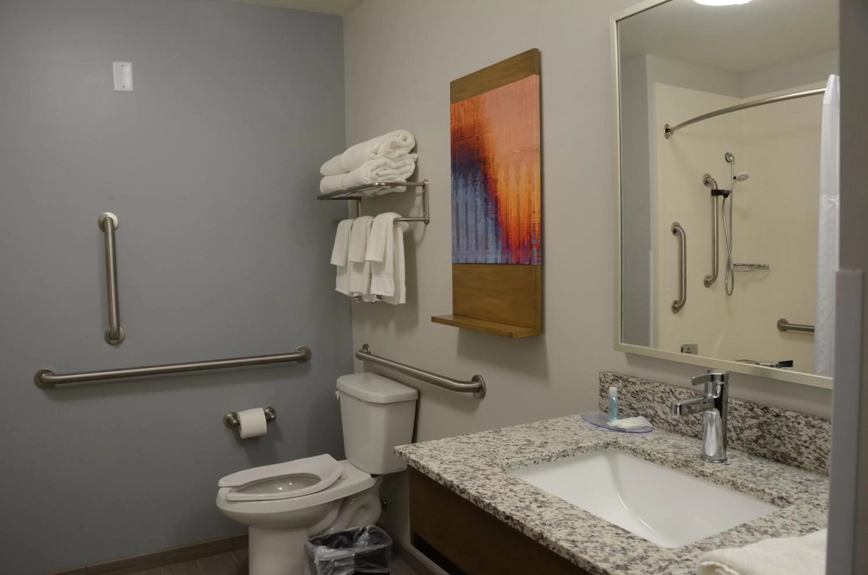 Standard King Suite - Mobility Accessible/Non-Smoking in MainStay Suites Bowling Green North