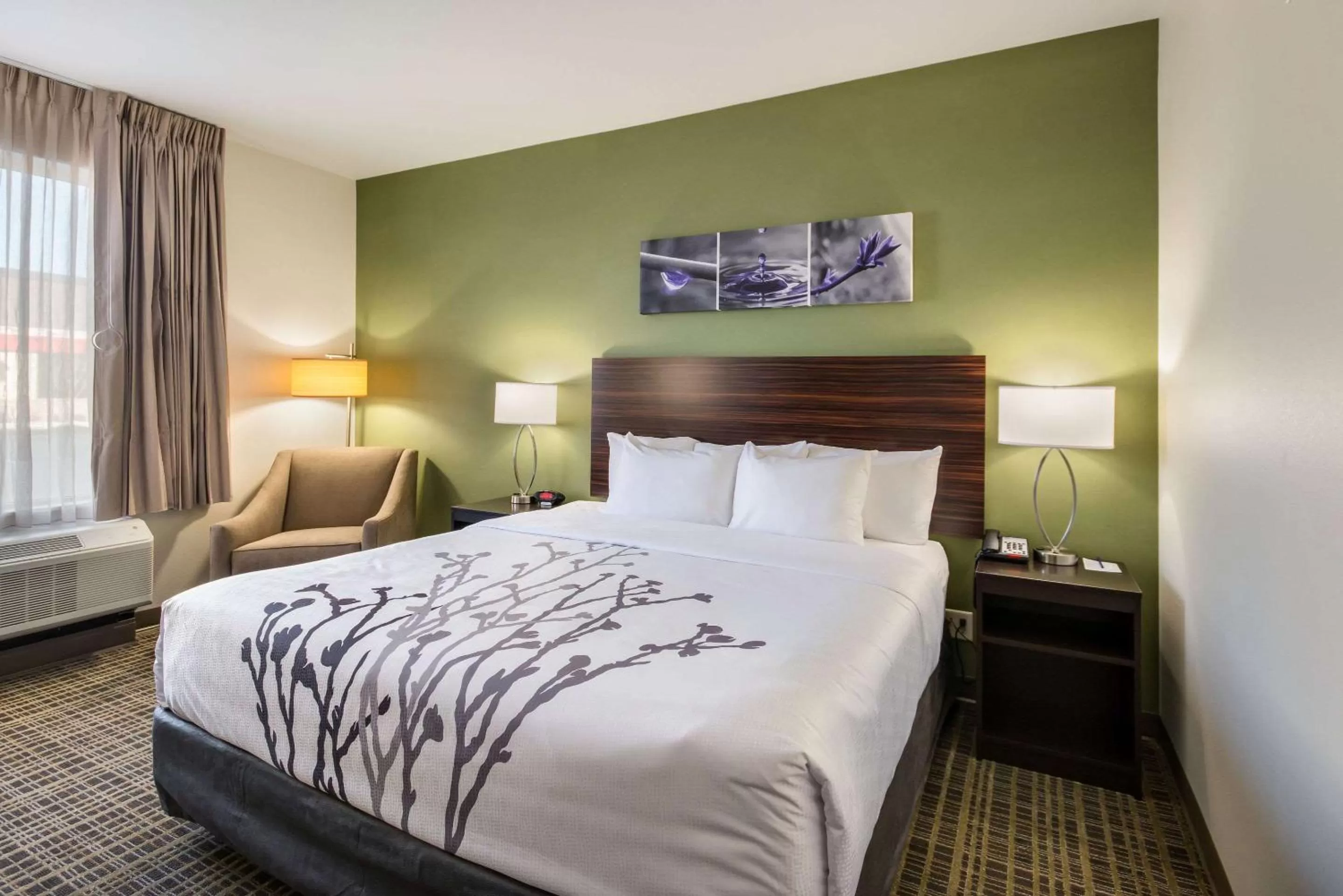 King Room - Accessible/Non-Smoking in Sleep Inn & Suites Yukon Oklahoma City