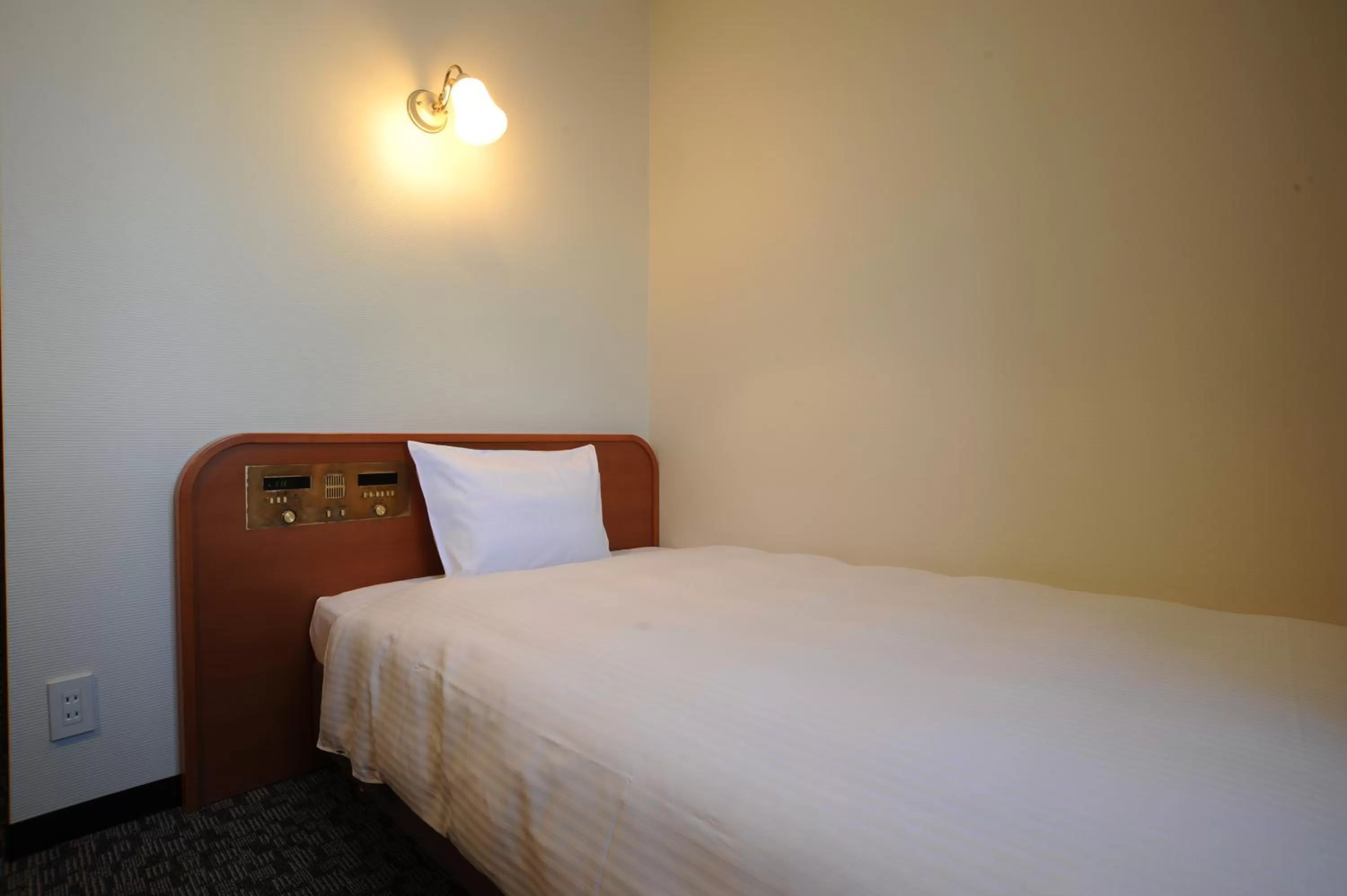 Single Room - Smoking in Suizenji Comfort Hotel