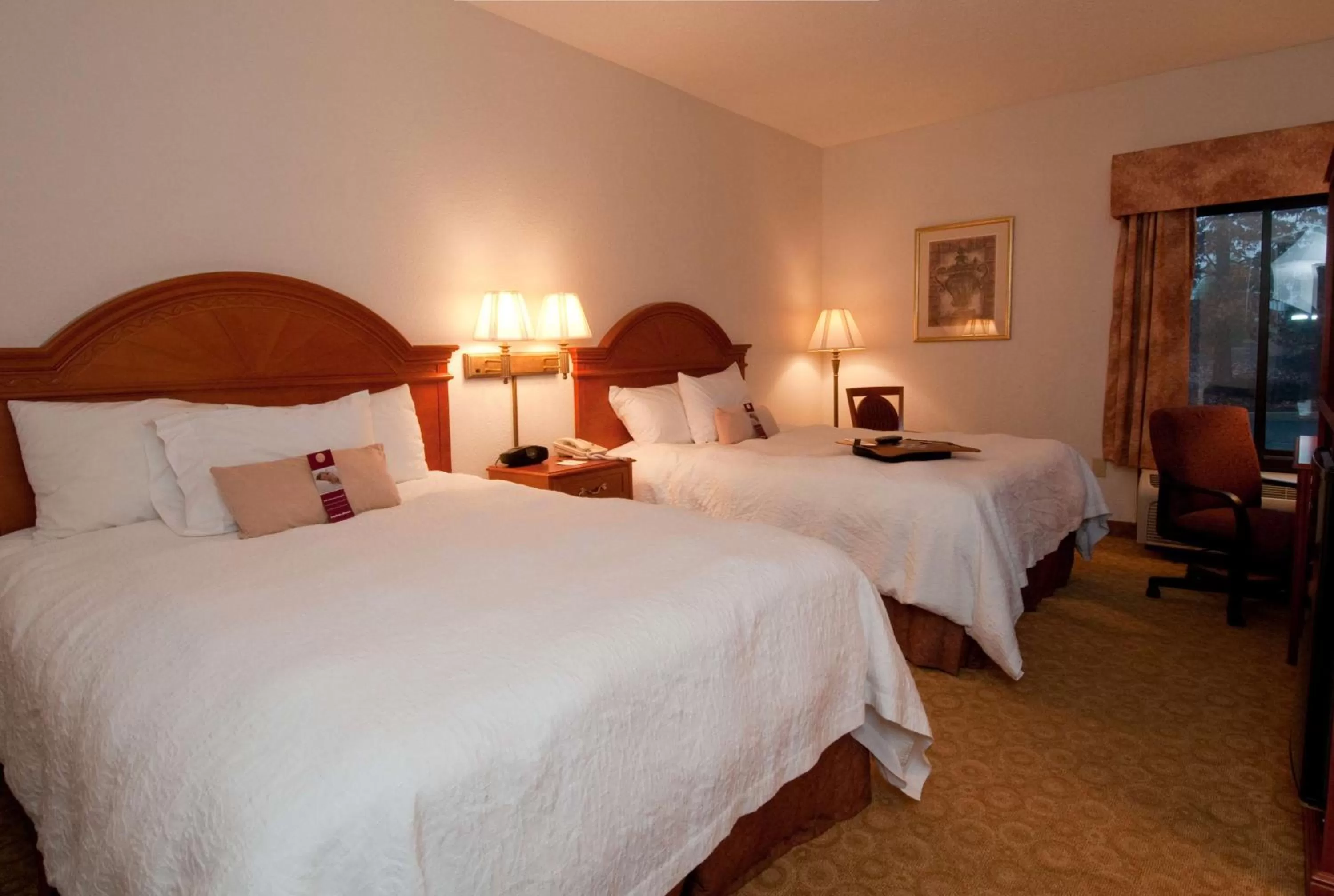 Room with Two Queen Beds - Non-Smoking in Hampton Inn Atlanta/Peachtree City