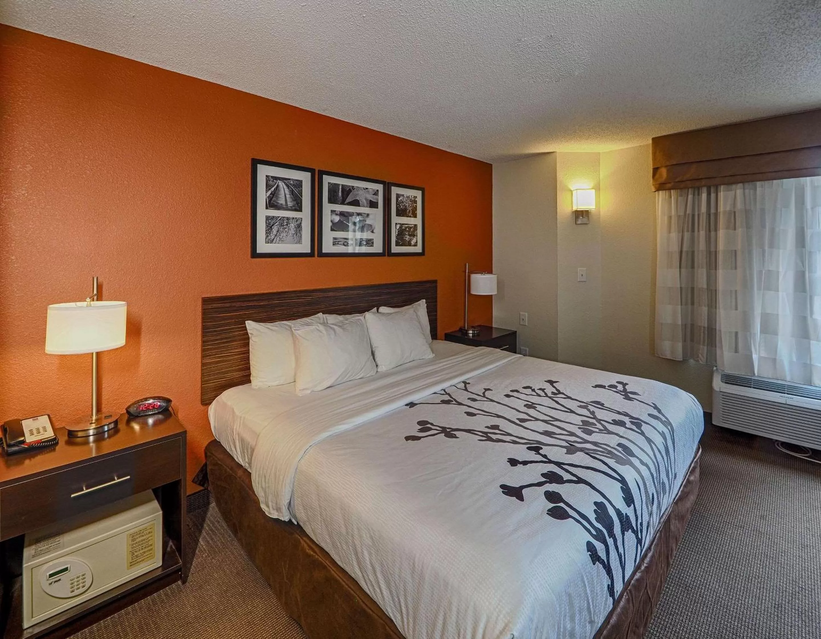 King Room - Non-Smoking in Sleep Inn & Suites Spring Lake - Fayetteville Near Fort Liberty