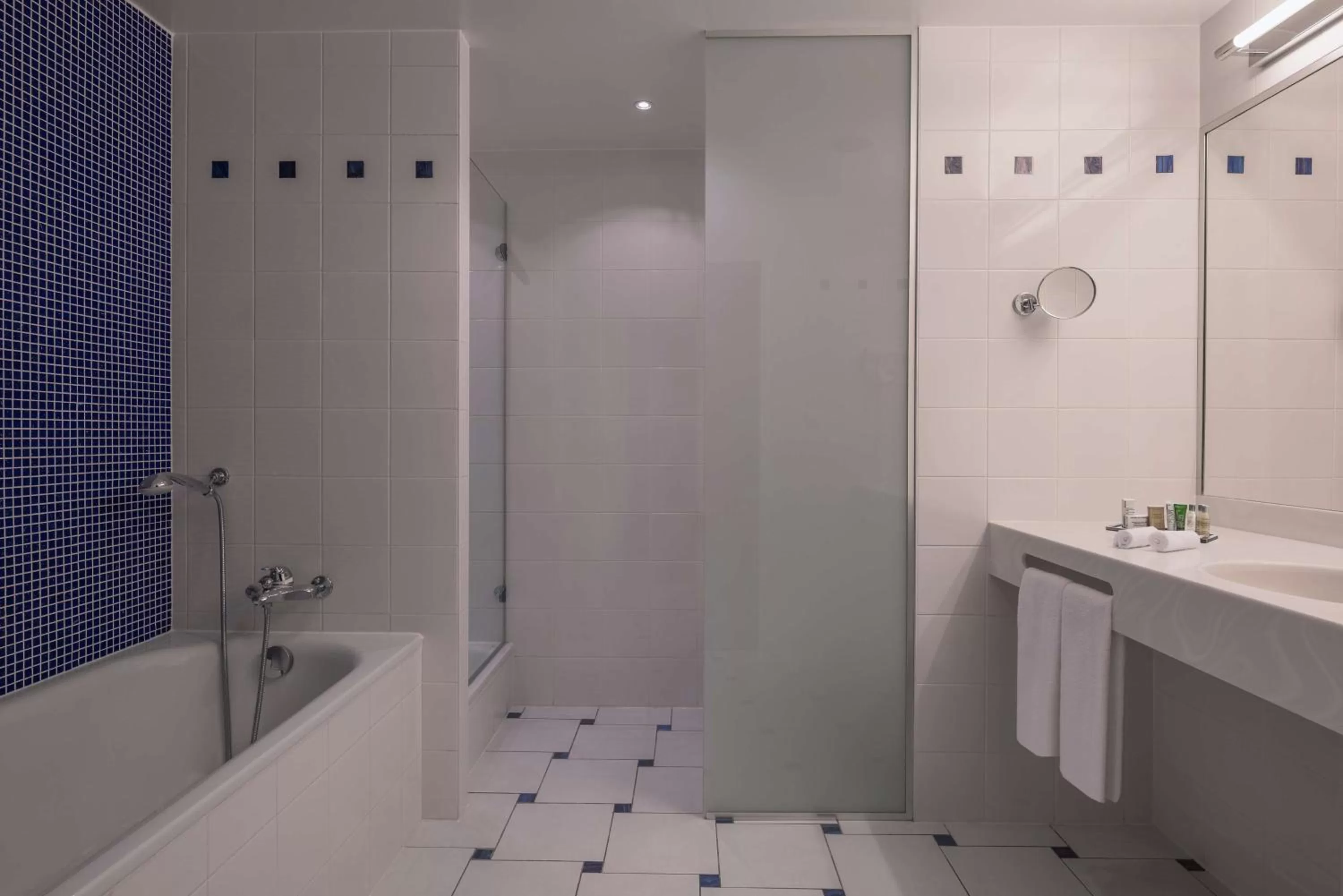 Superior King Room with Sofa Bed in Hilton Geneva Hotel and Conference Centre