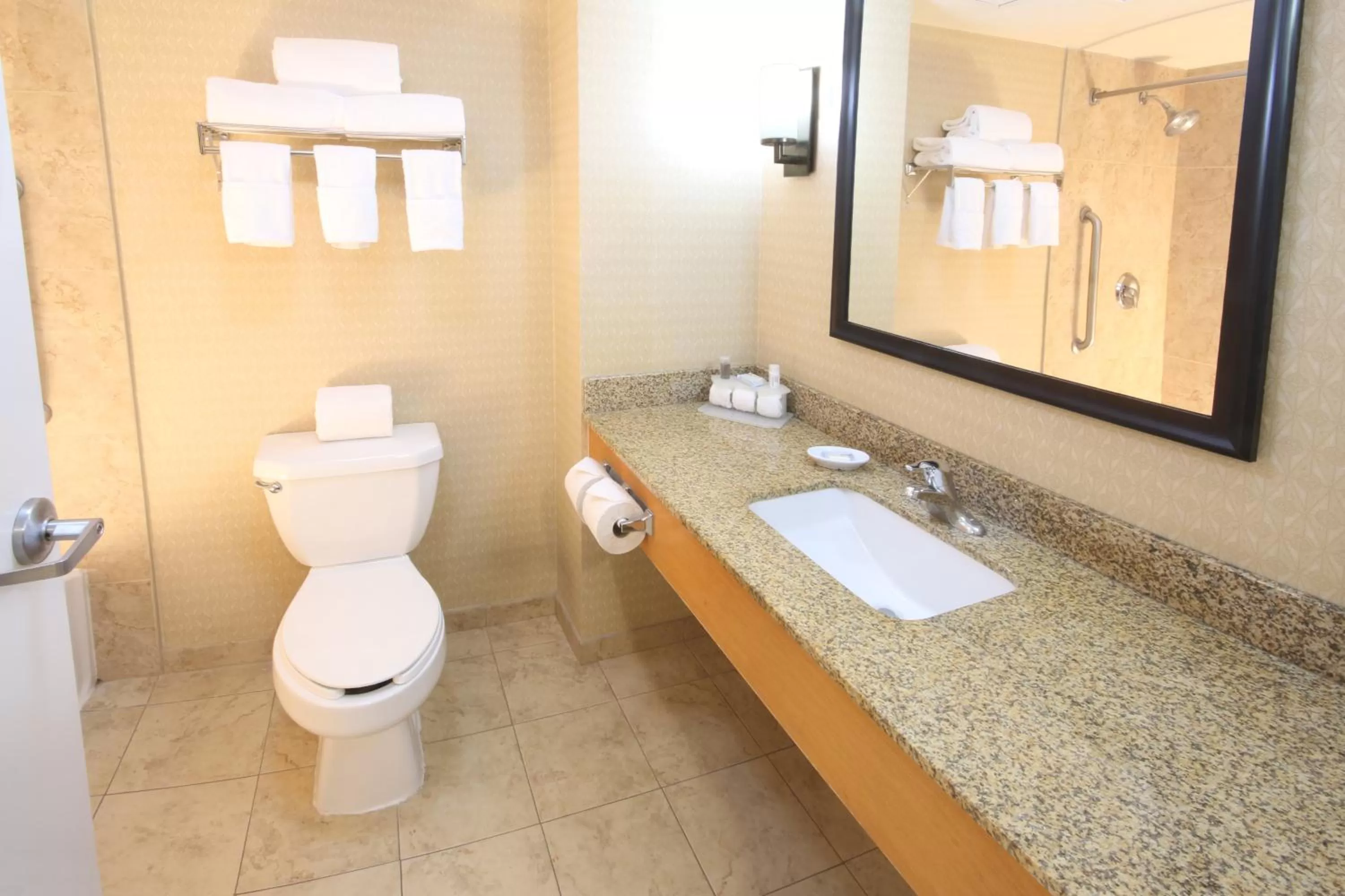 Specialty Room in Holiday Inn Express Hotel & Suites CD. Juarez - Las Misiones by IHG
