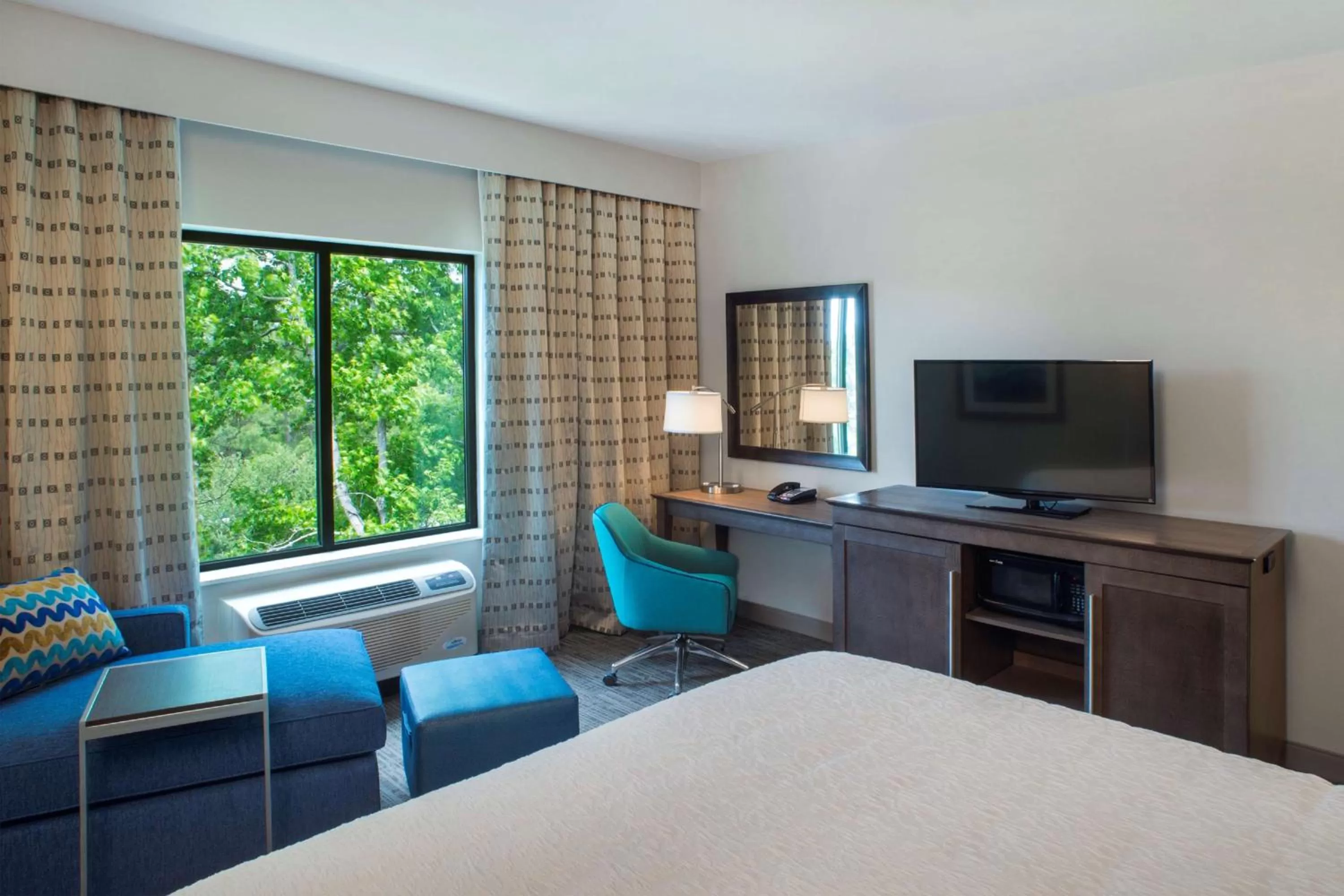 King Room - Hearing Access/Non-Smoking in Hampton Inn Gulf Shores