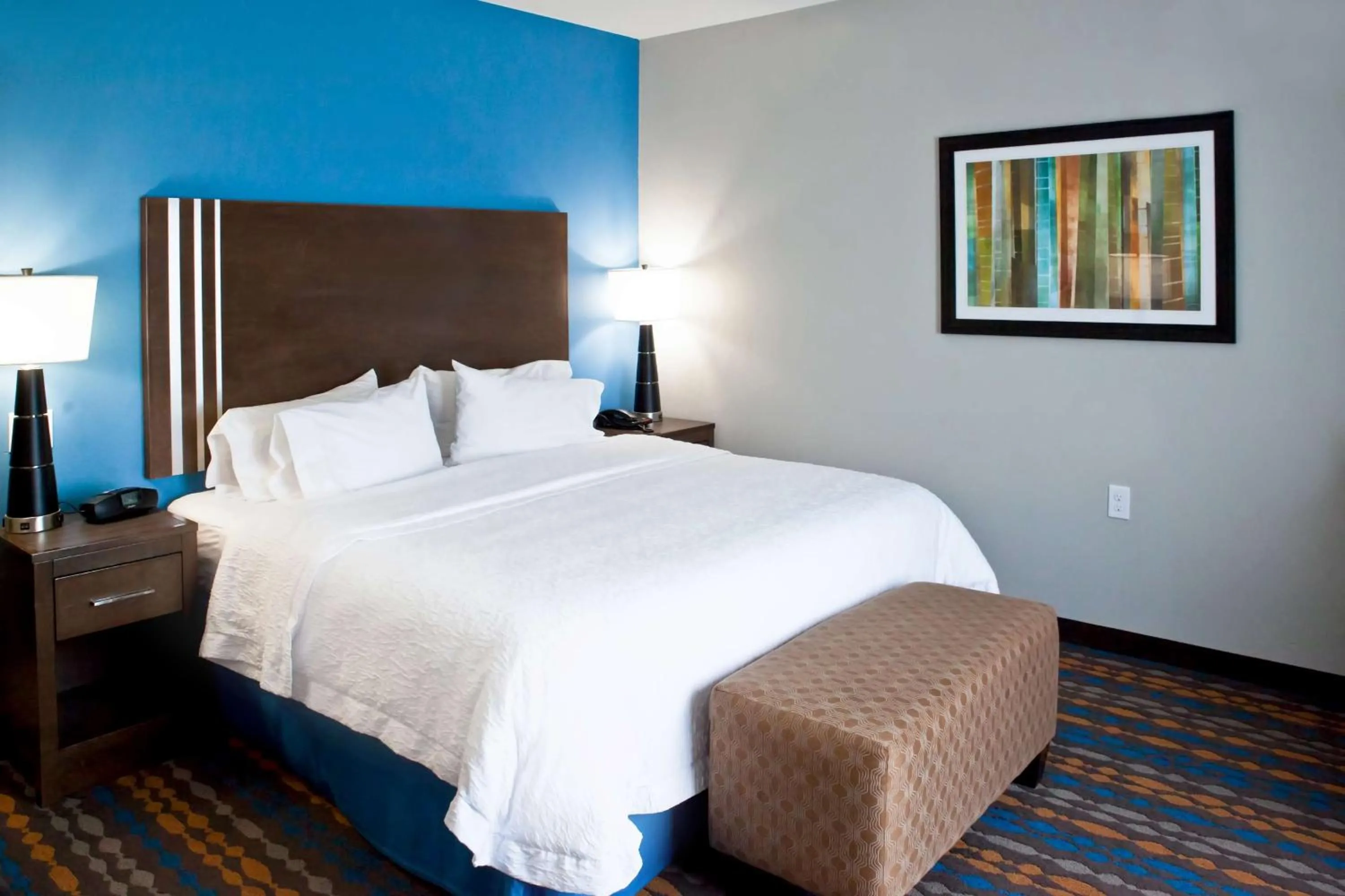 King Room - Non-Smoking in Hampton Inn Kenedy