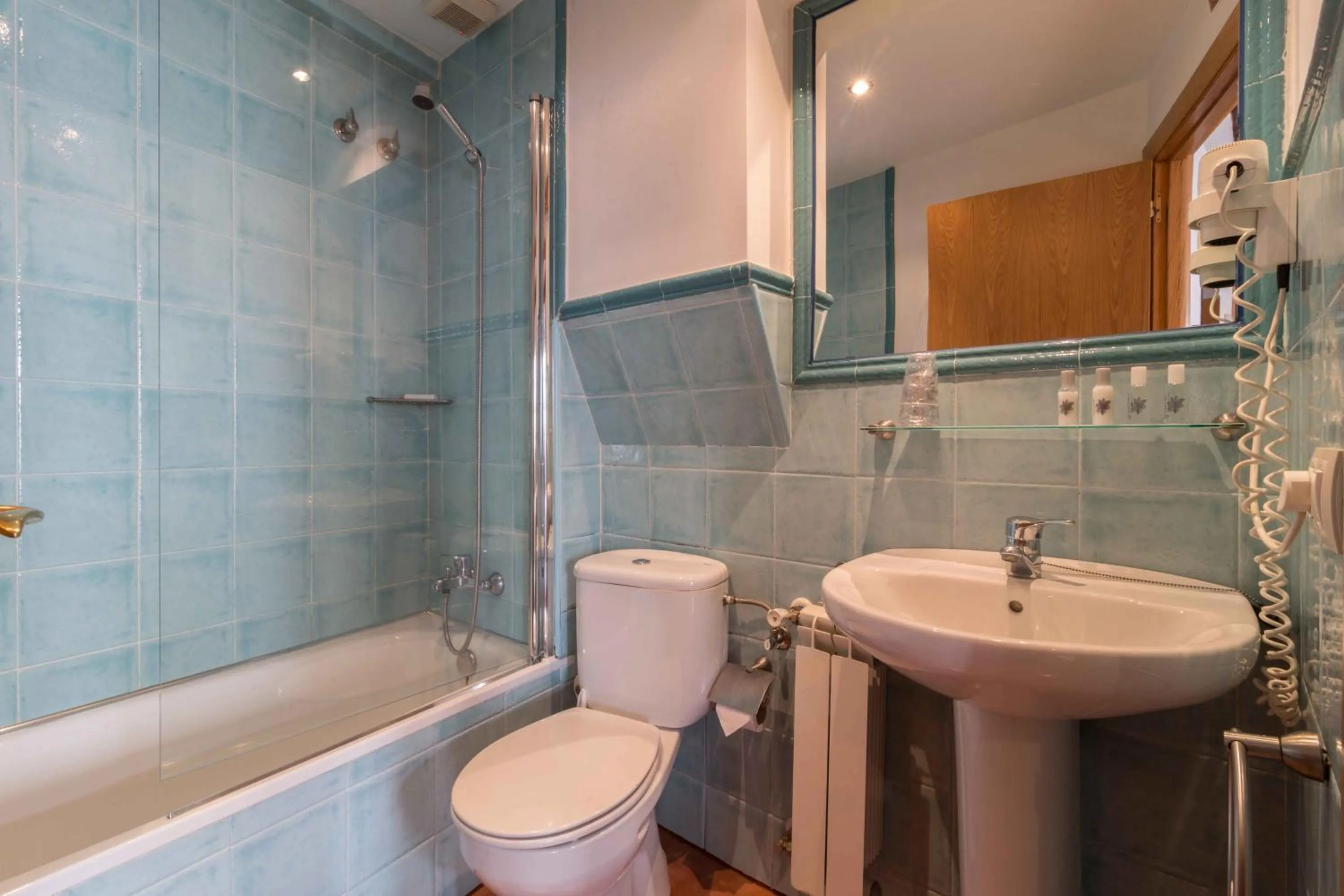 Budget Room in Hotel Alda Algalia