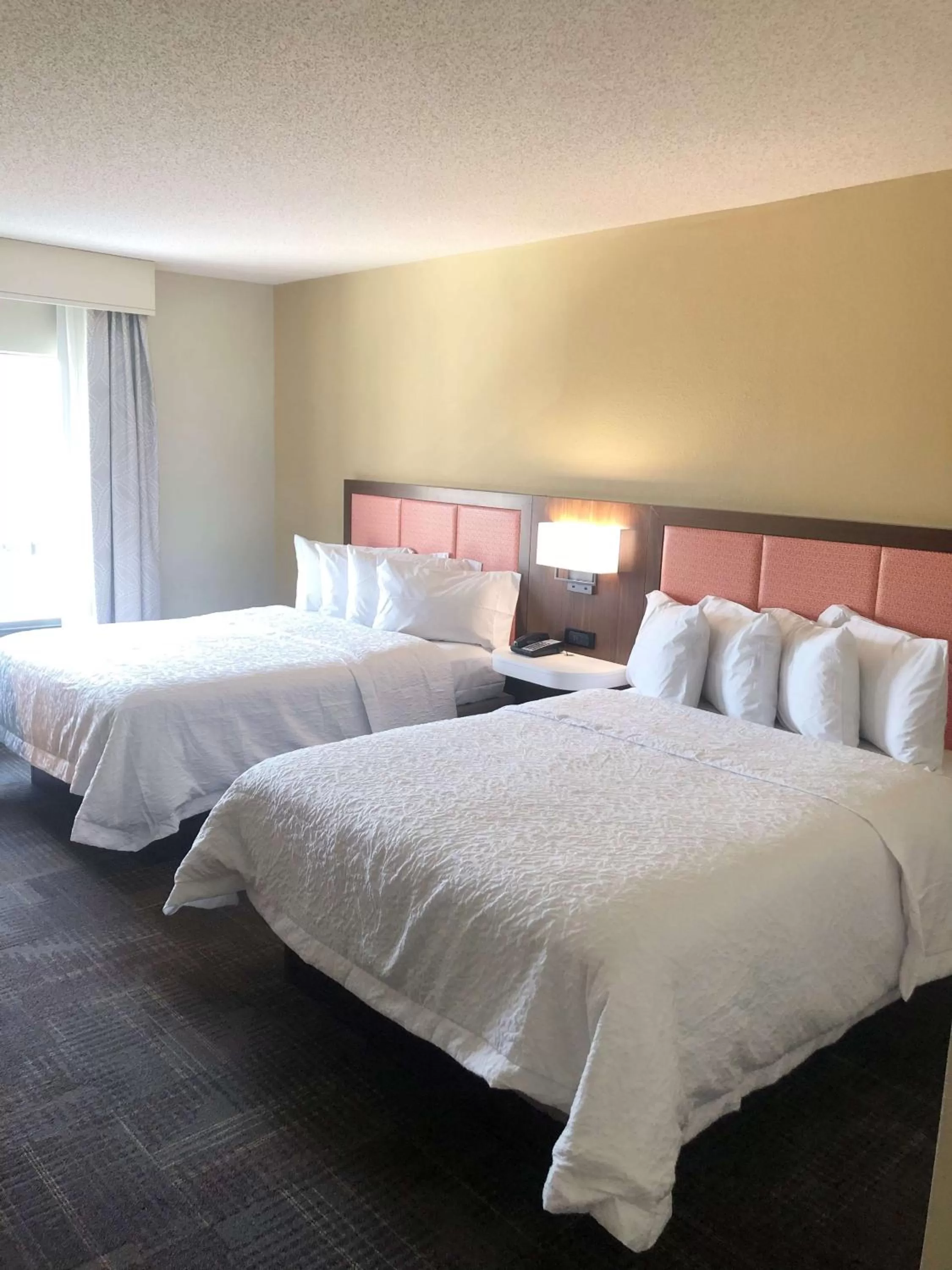2 Queen beds studio accessible with tub non-smoking in Hampton Inn & Suites Norfolk-Airport