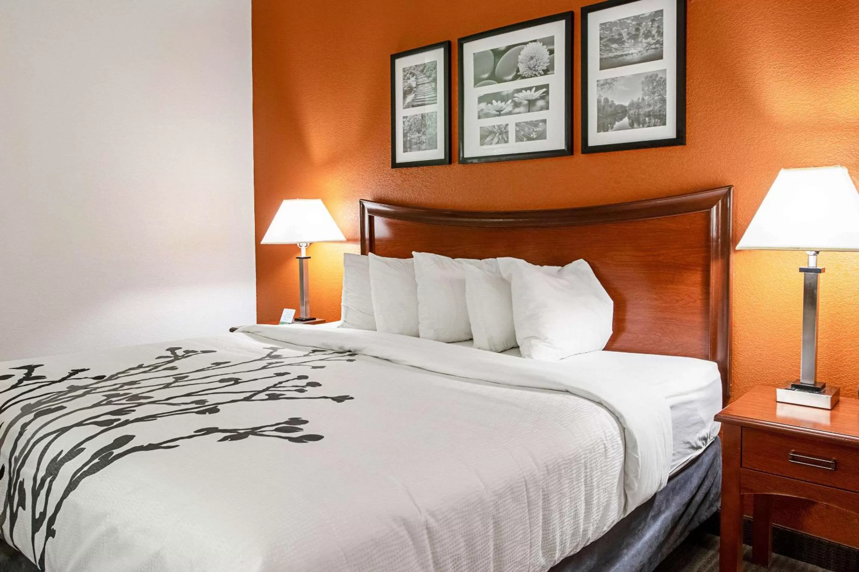 King Room - Non-Smoking in Sleep Inn & Suites Hobbs