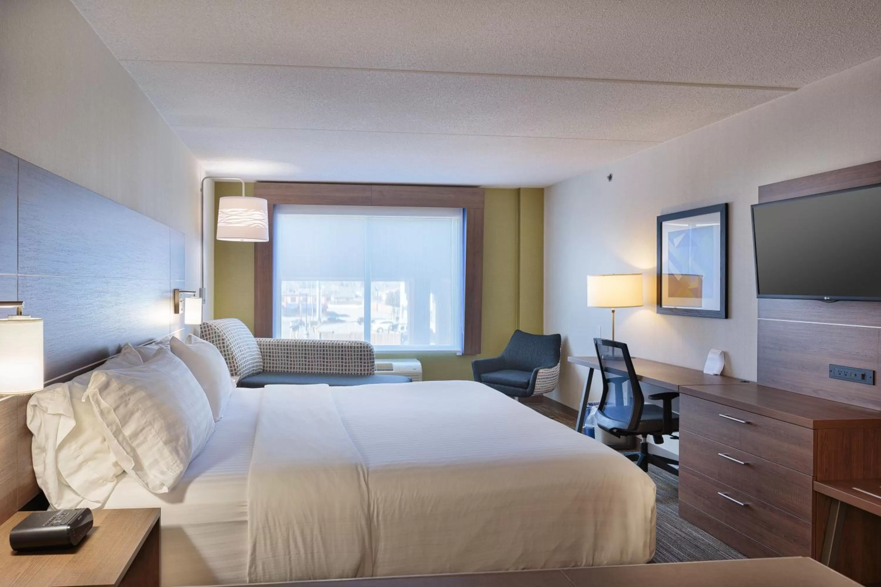 King Suite - Non-Smoking in Holiday Inn Express & Suites - Belleville by IHG