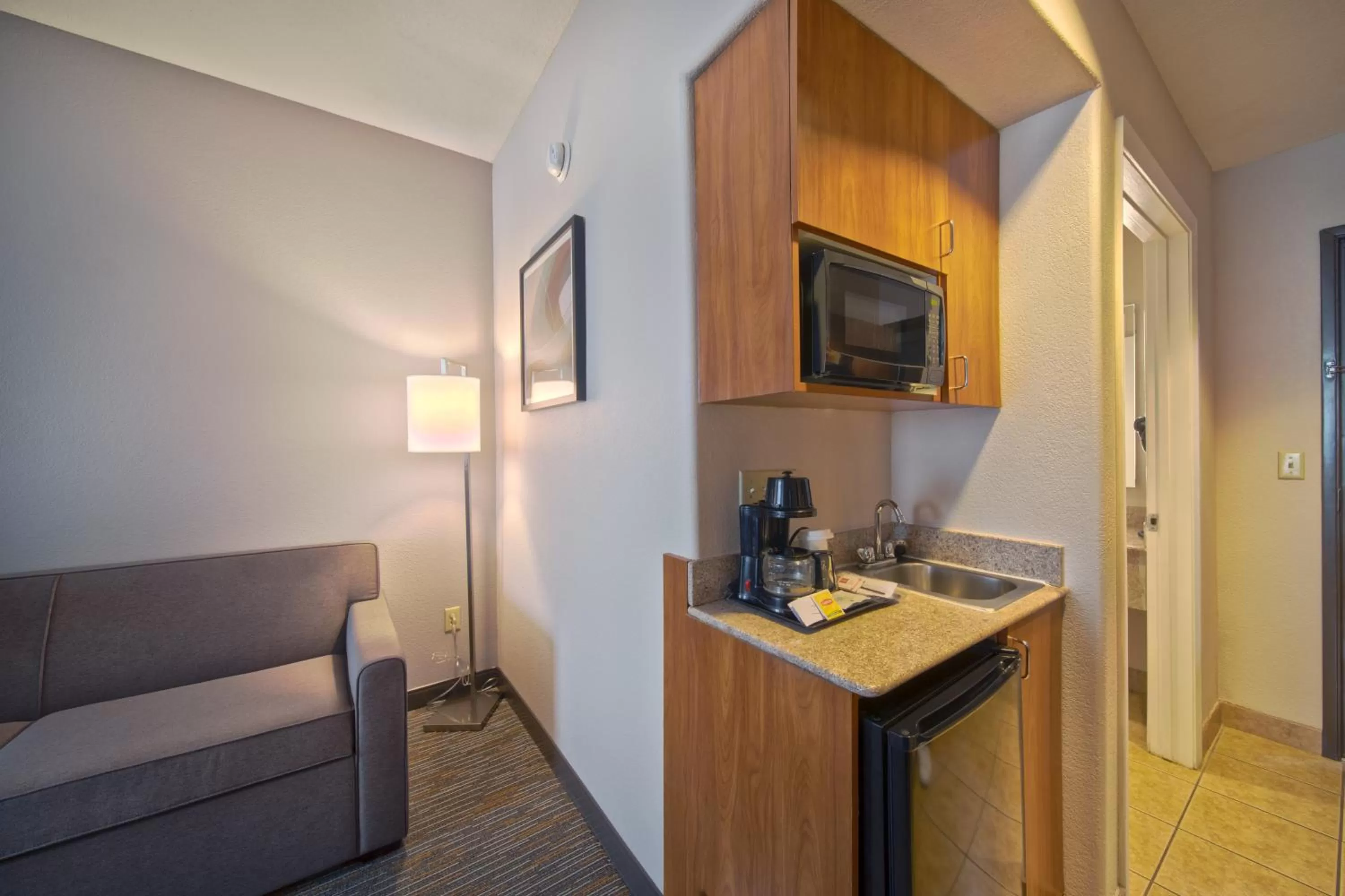 Deluxe King Suite with Bath Tub - Mobility/Hearing Accessible in Wingate by Wyndham Houston Bush Intercontinental Airport