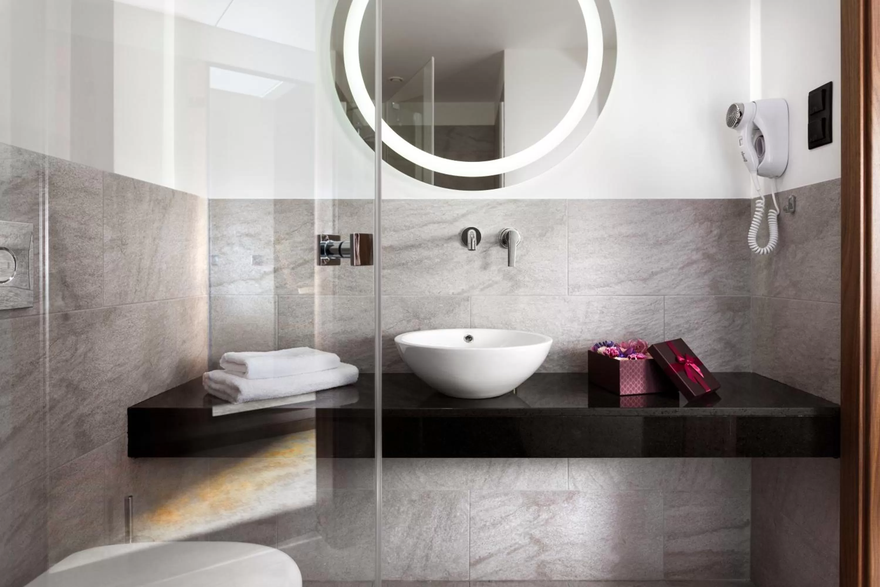 Studio in Hotel Sadova