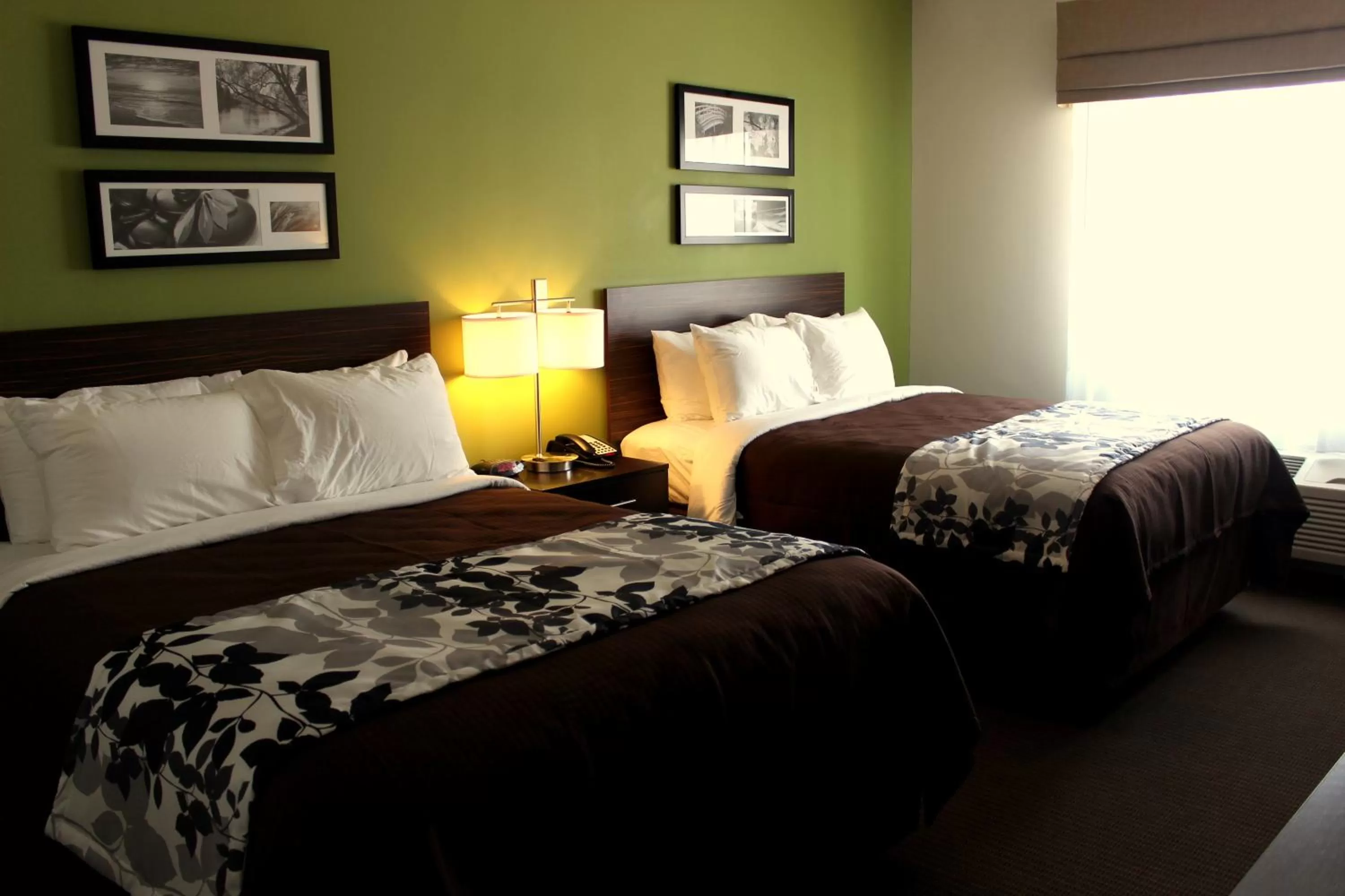 Queen Room with Two Queen Beds - Non-Smoking in Sleep Inn & Suites Odessa near University