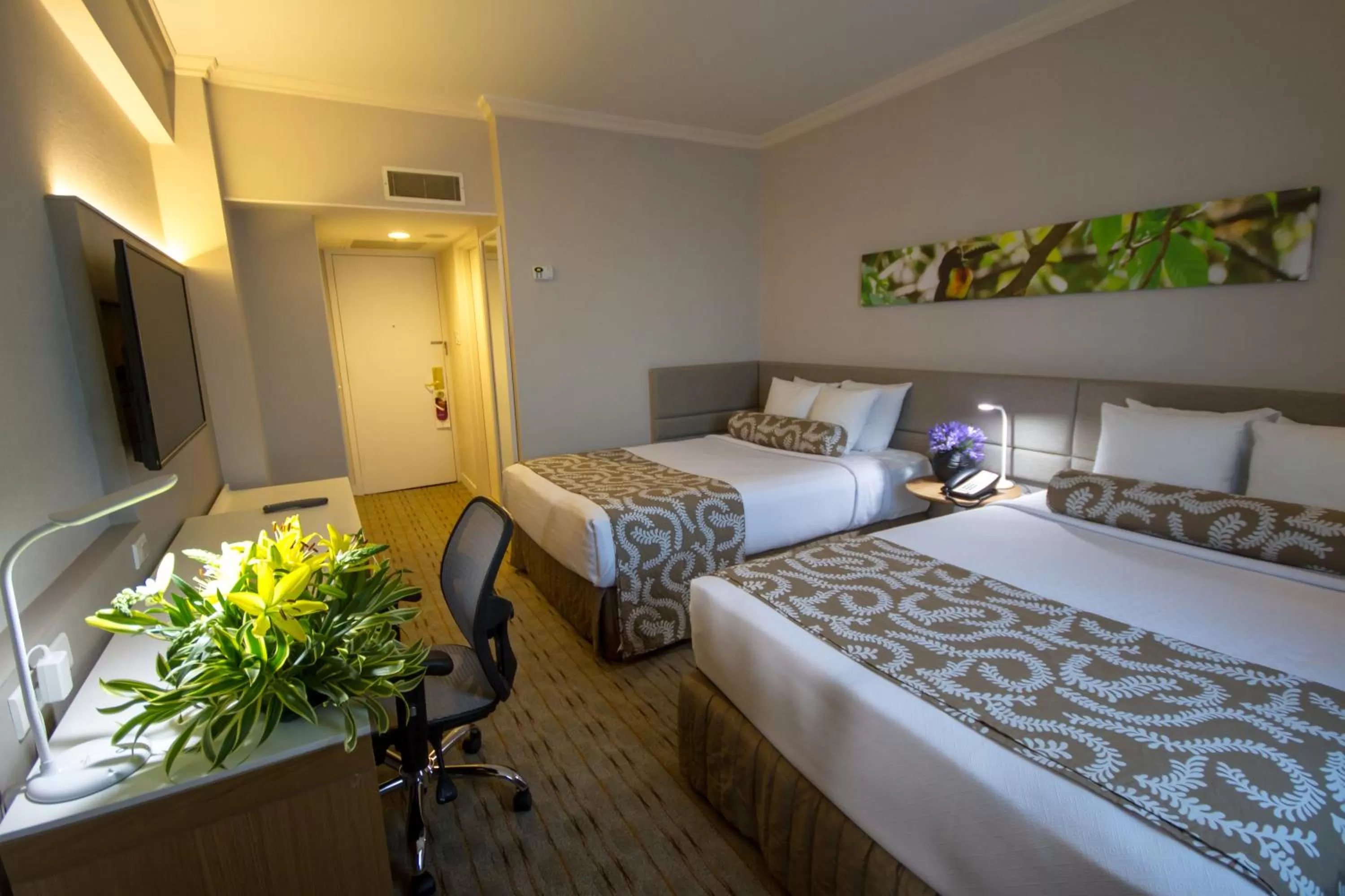 Queen Room with Lake View - single occupancy in Crowne Plaza Managua by IHG