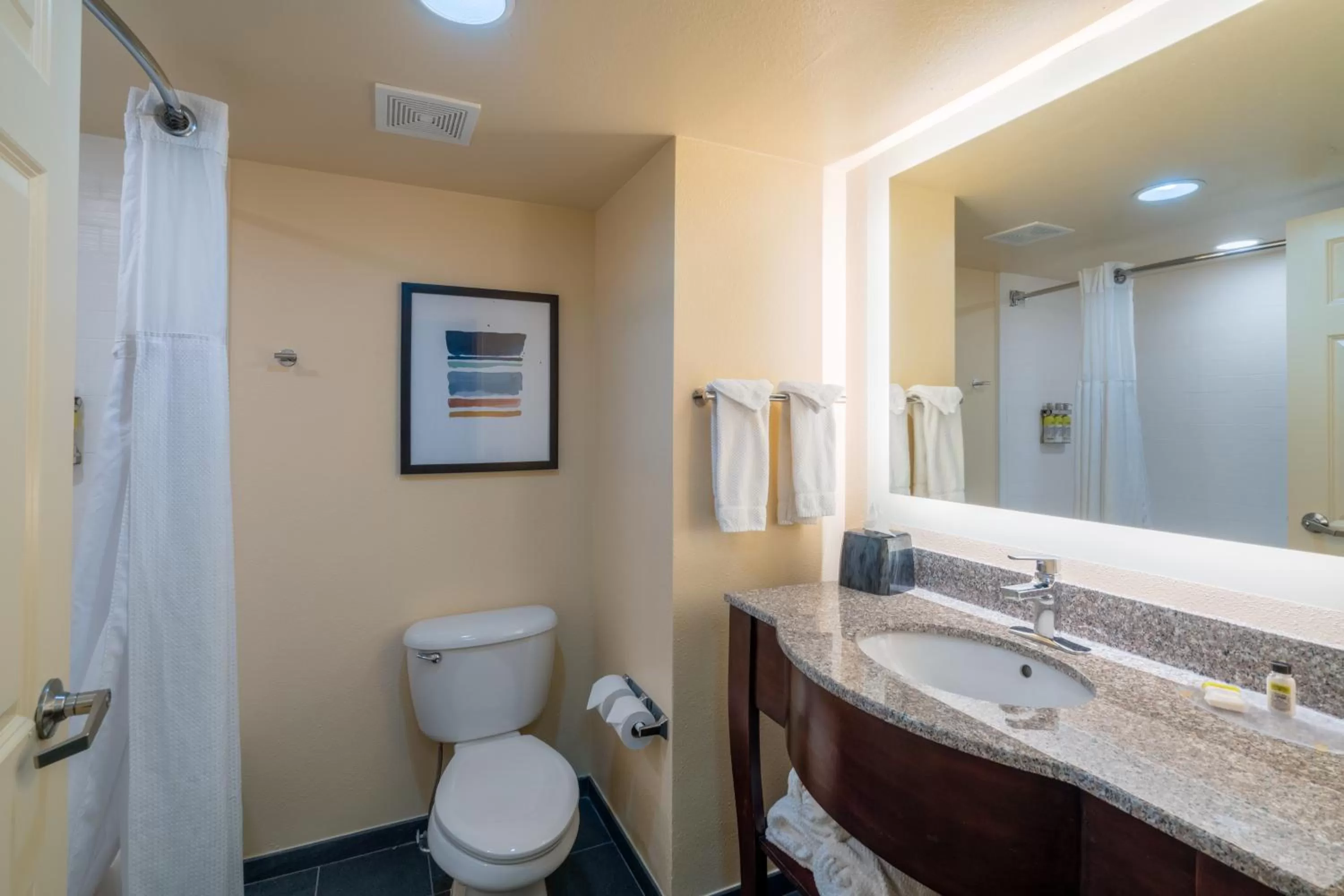 Studio Suite in Staybridge Suites Memphis-Poplar Ave East by IHG