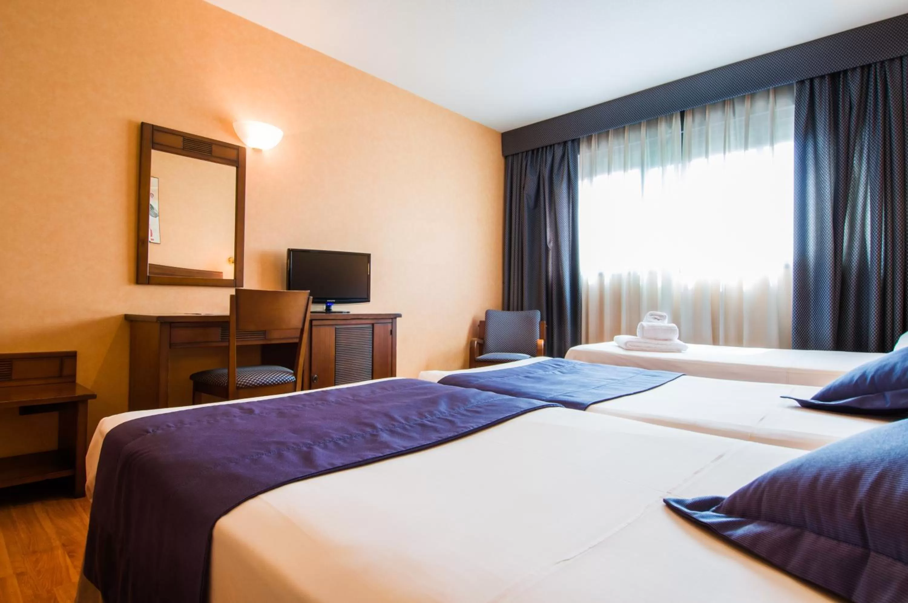Twin Room with Extra Bed (3 Adults) in Hotel Las Provincias
