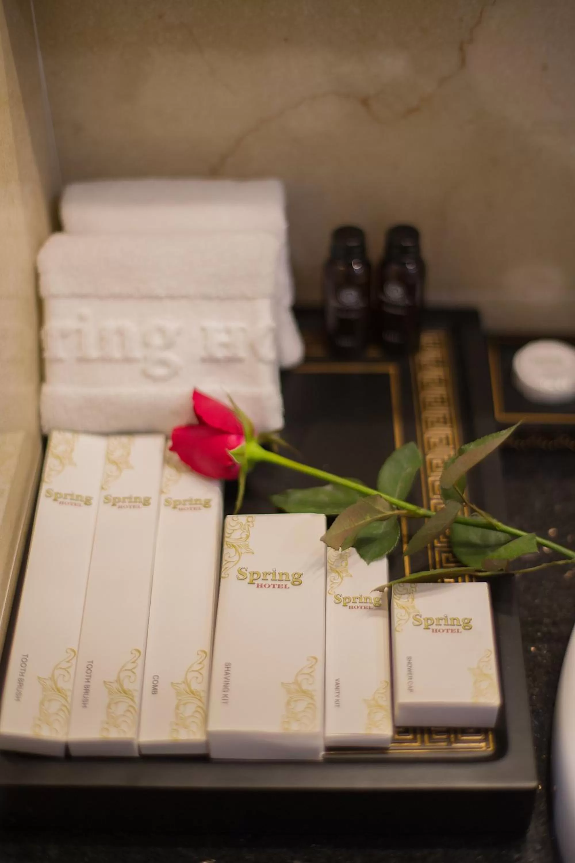 Deluxe Double Room - single occupancy in Spring Hotel Hanoi