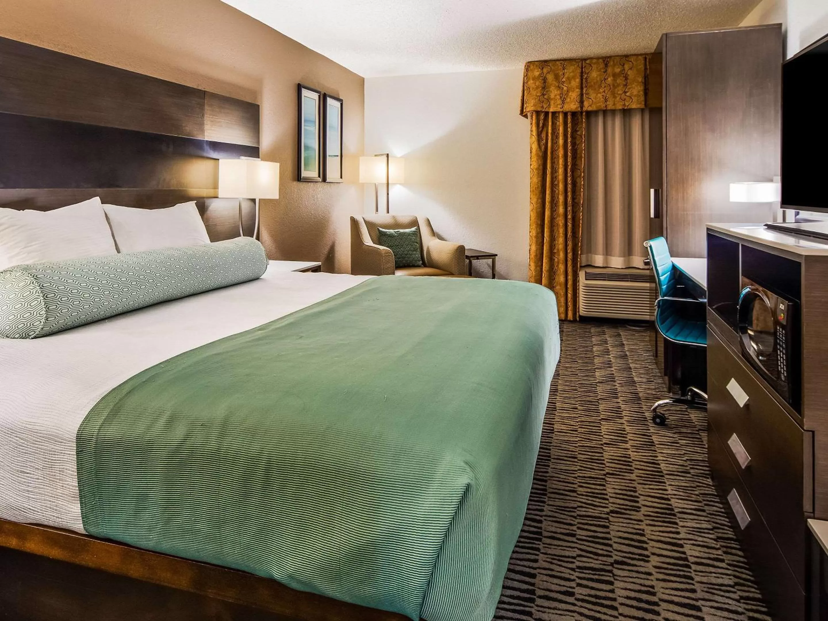 King Room - Accessible/Non Smoking in Clarion Pointe near Medical Center