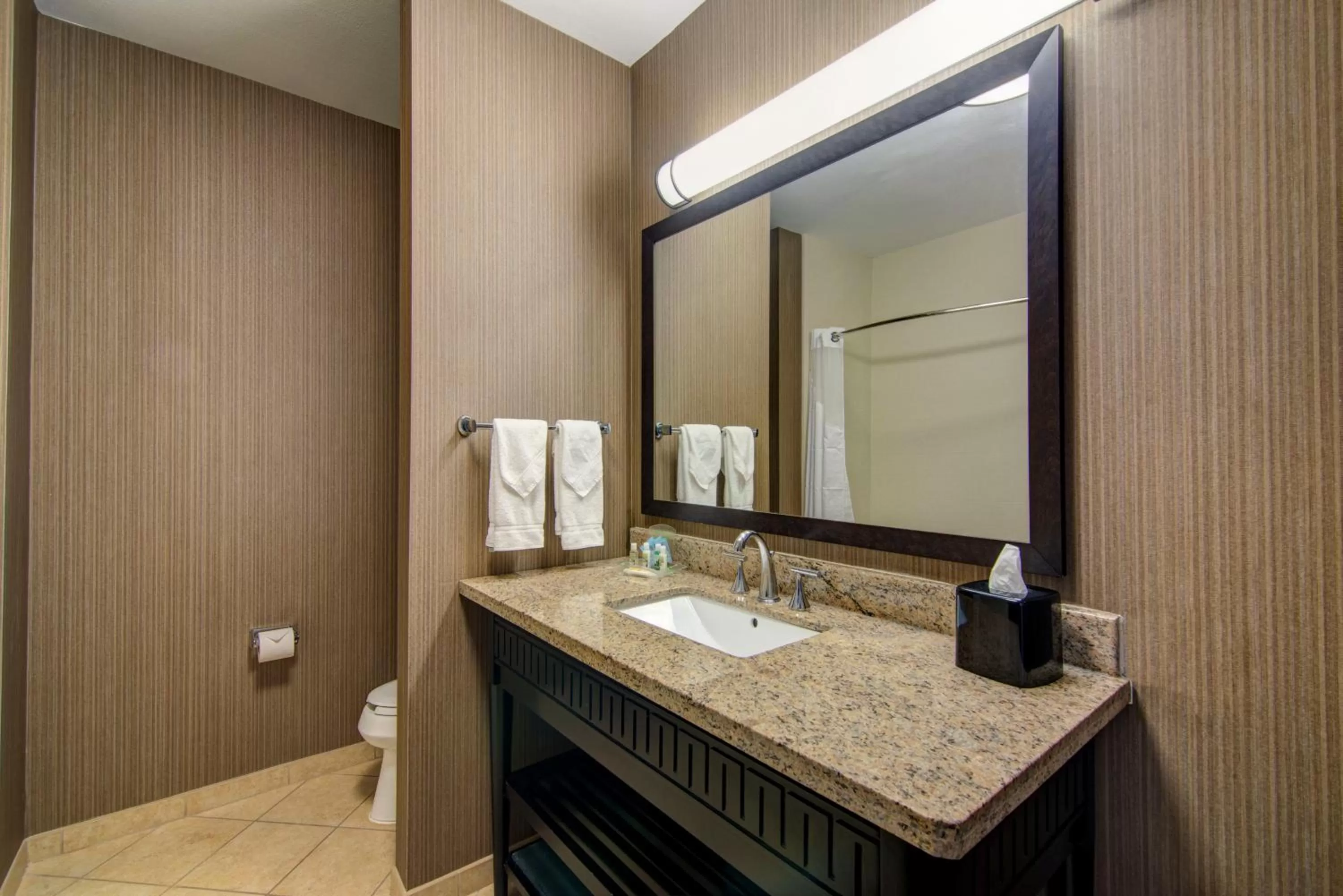 King Suite - Disability Access in Holiday Inn Arlington Northeast, an IHG Hotel