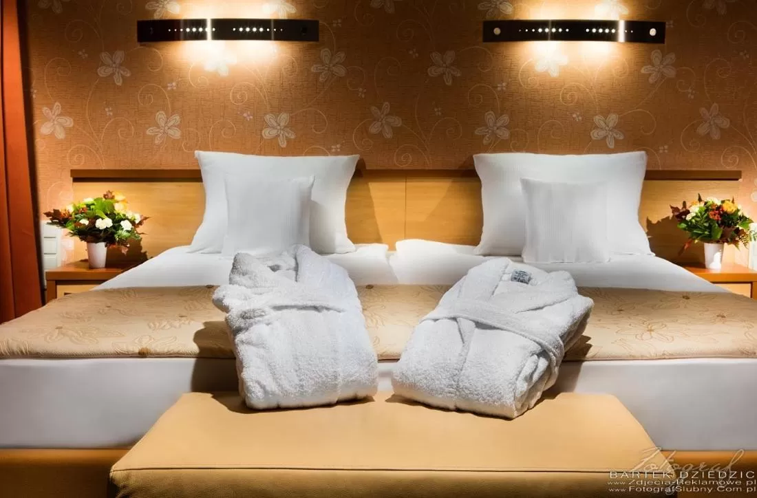 Single Room in Hotel Victor Pruszków DeSilva