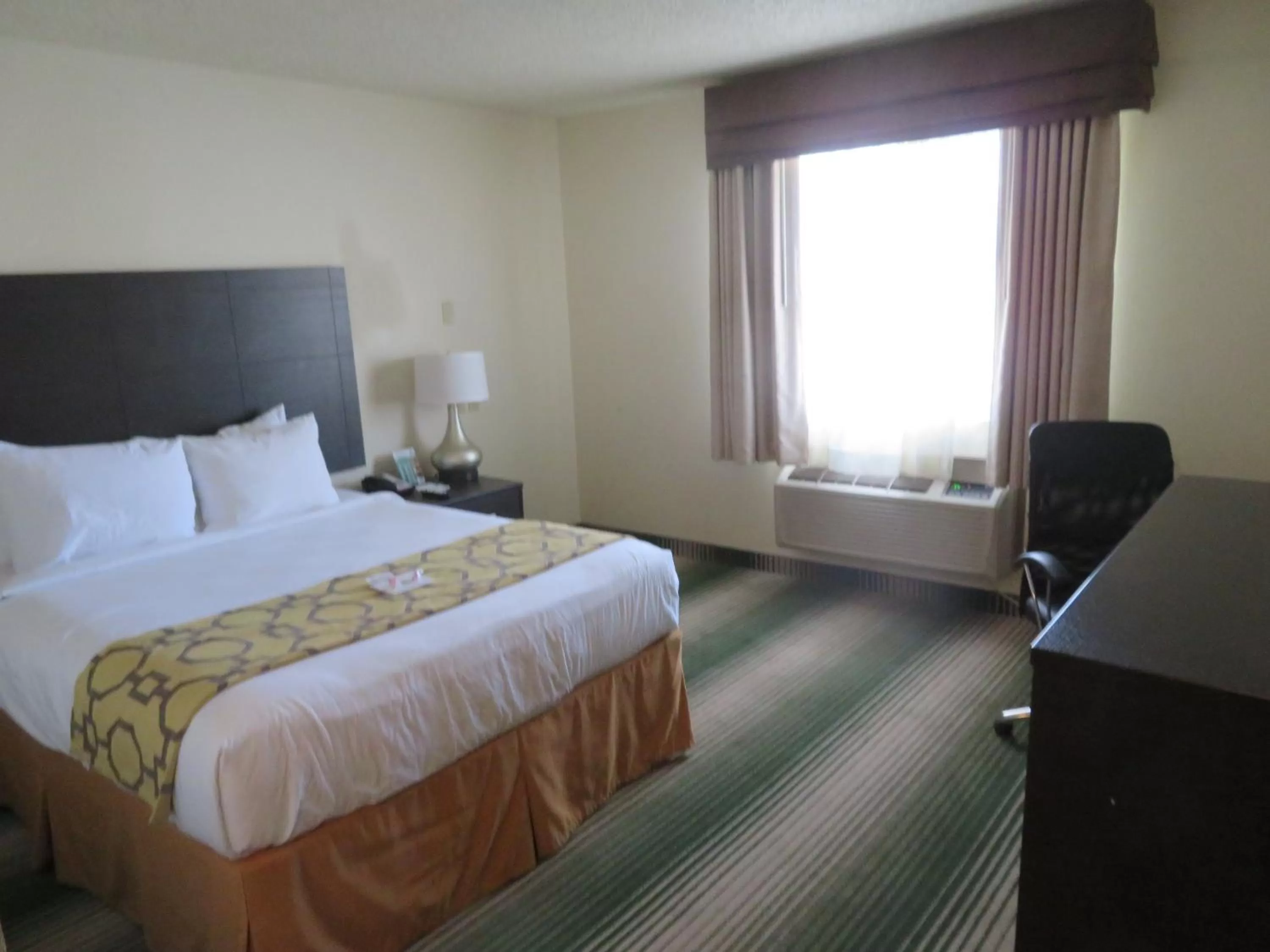 Queen Room - Disability Access in GreenTree Inn Montrose